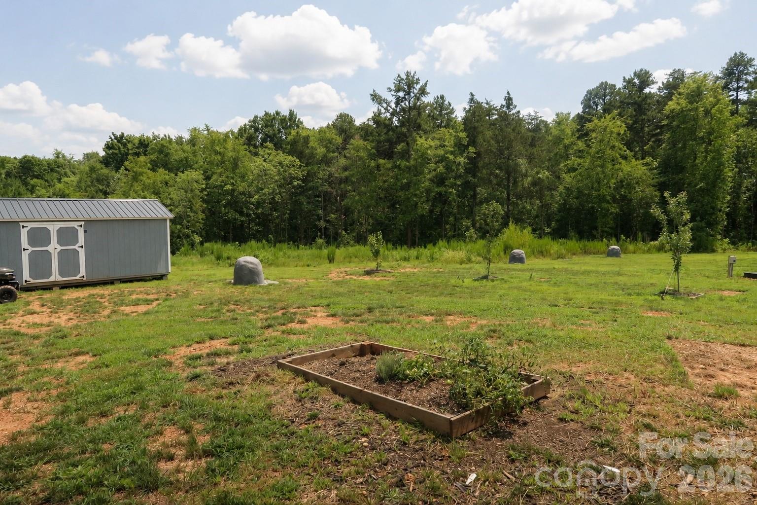 1305 Scout Road Property Photo 16