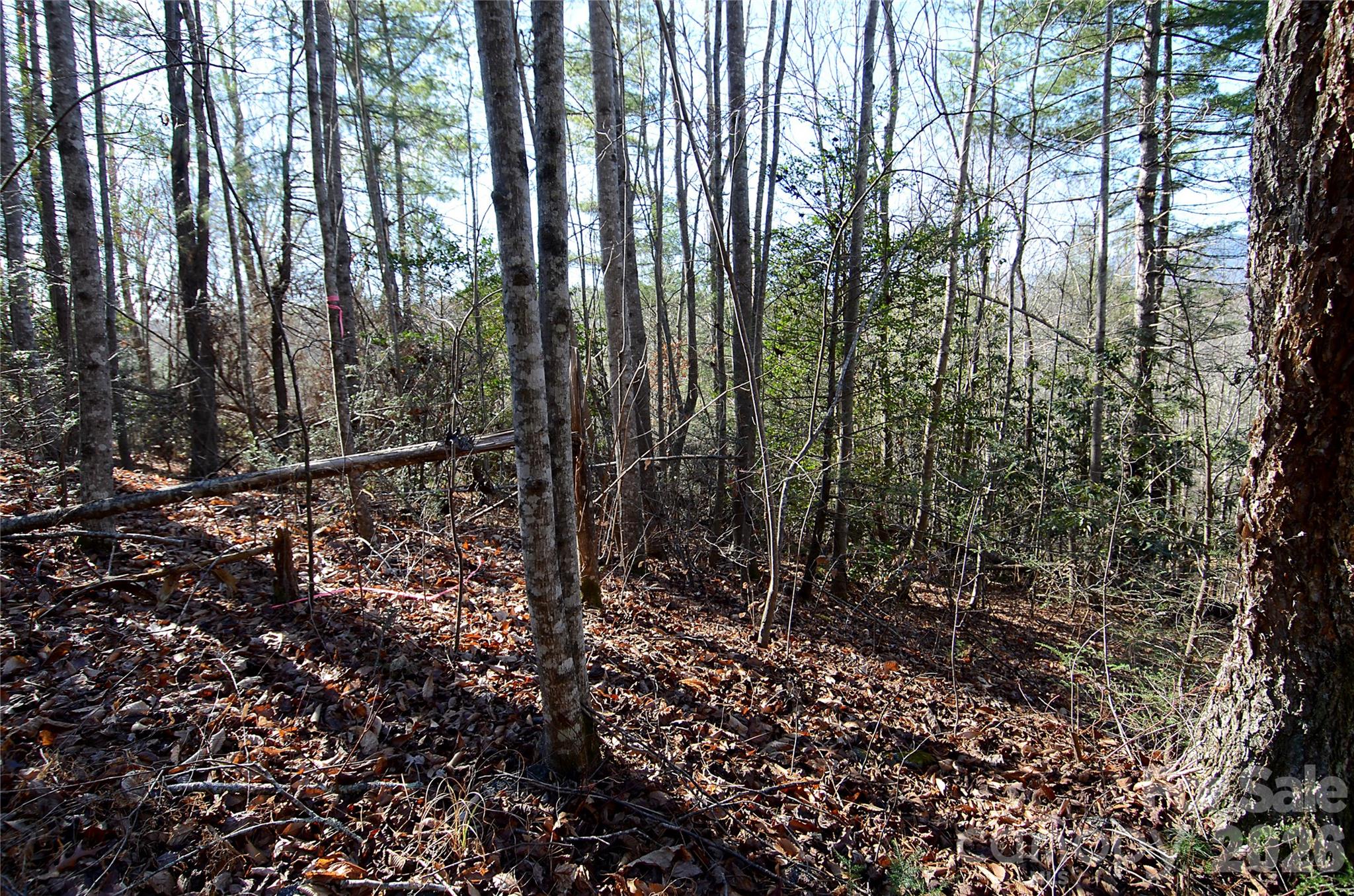 0 Wildwood Mountain Lane 8 Property Photo 2
