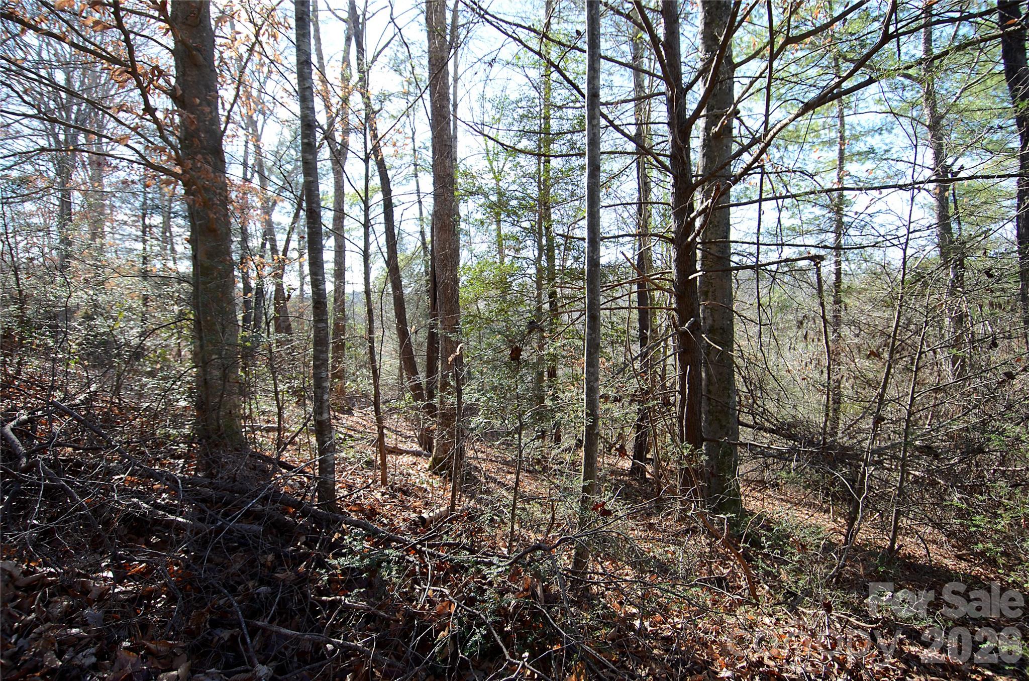 0 Wildwood Mountain Lane 8 Property Photo 3