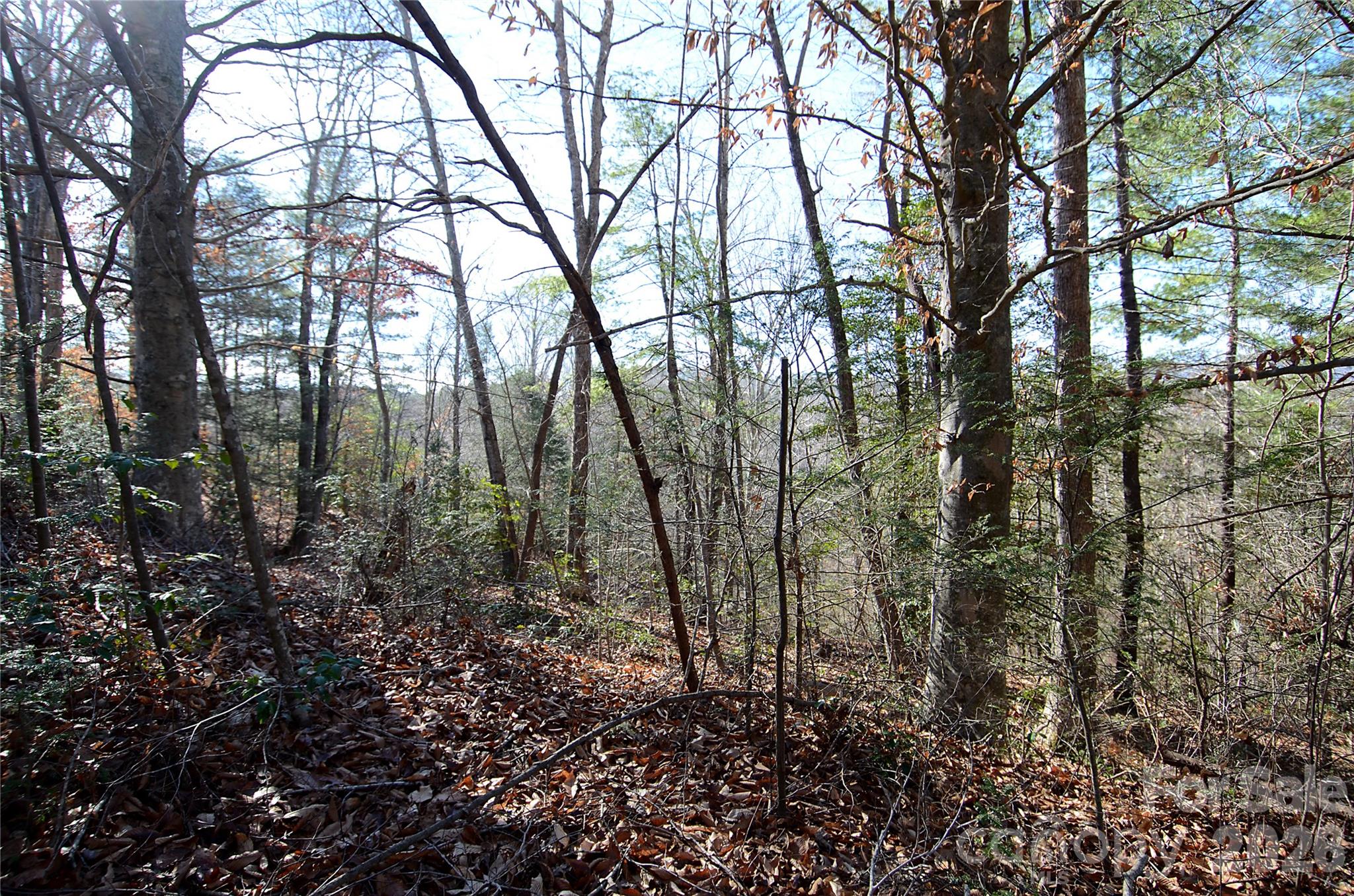 0 Wildwood Mountain Lane 8 Property Photo 4