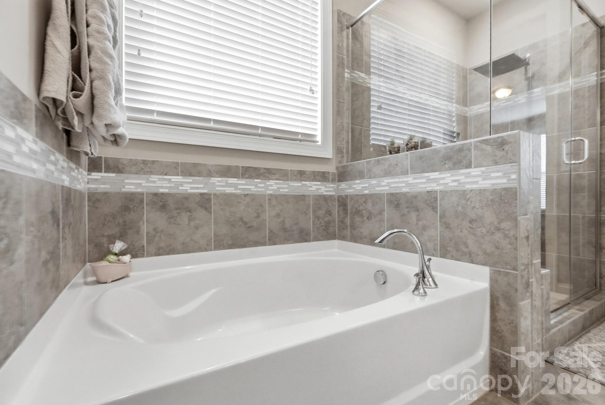 7437 Basie Park Court Property Photo 28