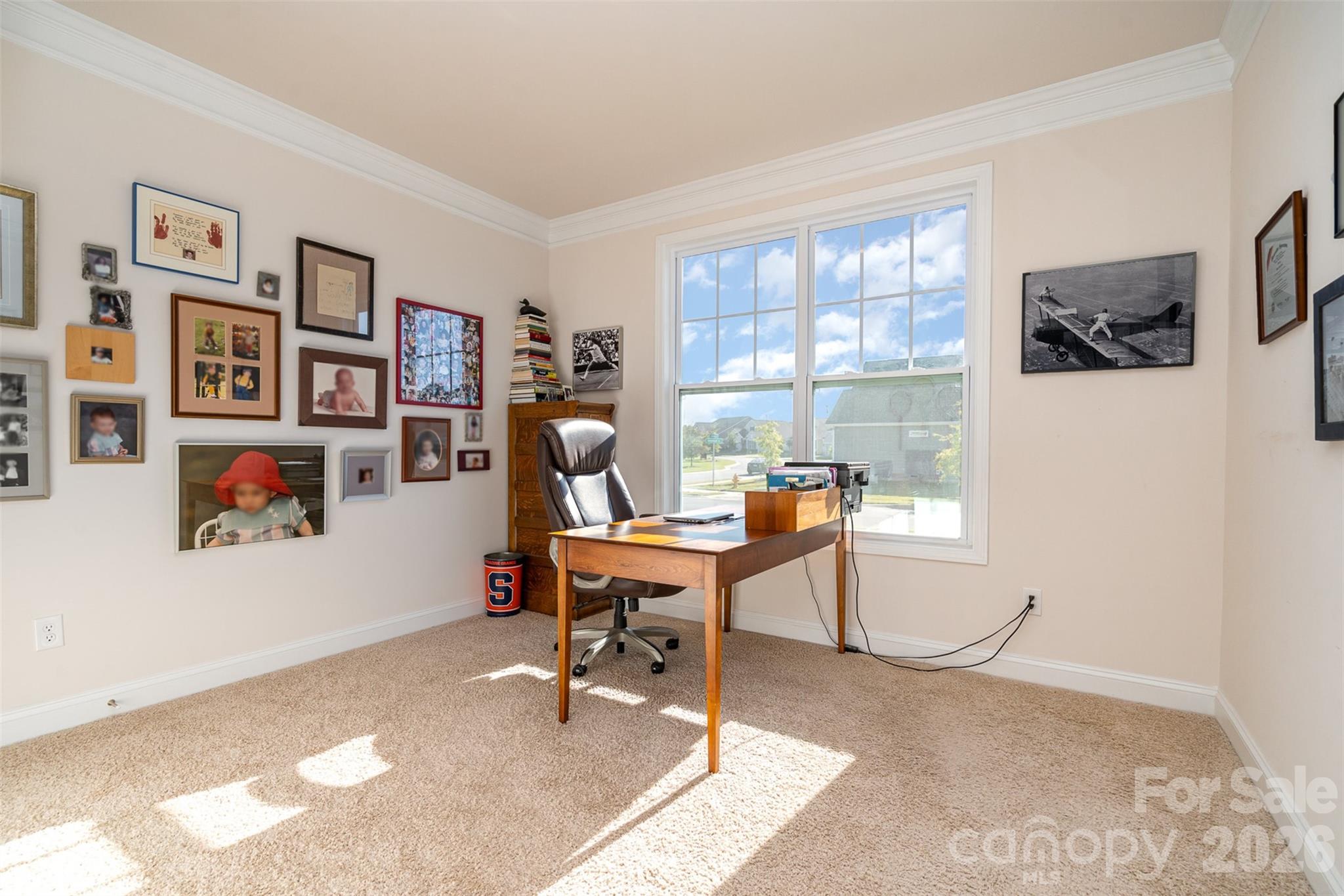 5043 Antebellum Drive Property Photo 16