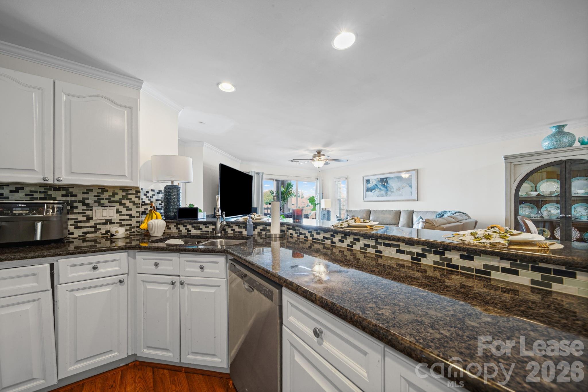 18637 Vineyard Point Lane Property Photo 12