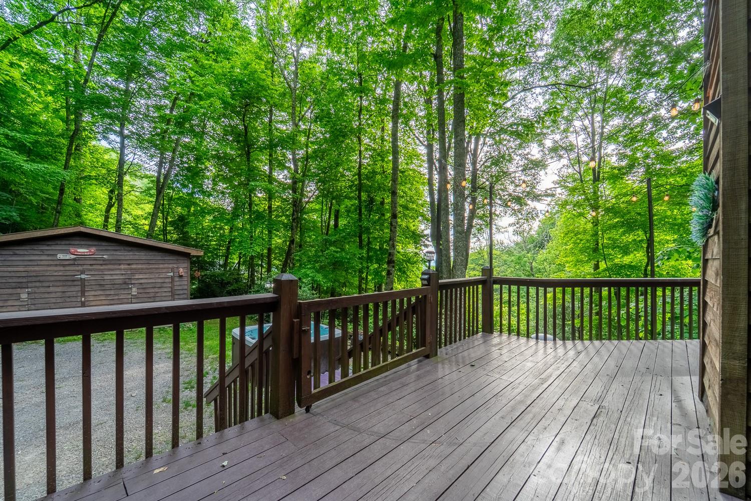 903 Plott Balsam Road Property Photo 4