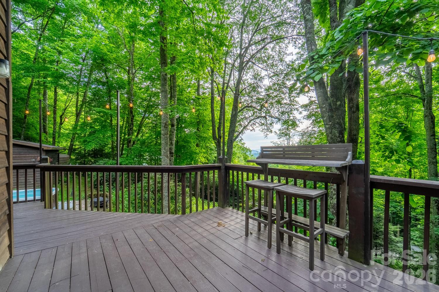 903 Plott Balsam Road Property Photo 16