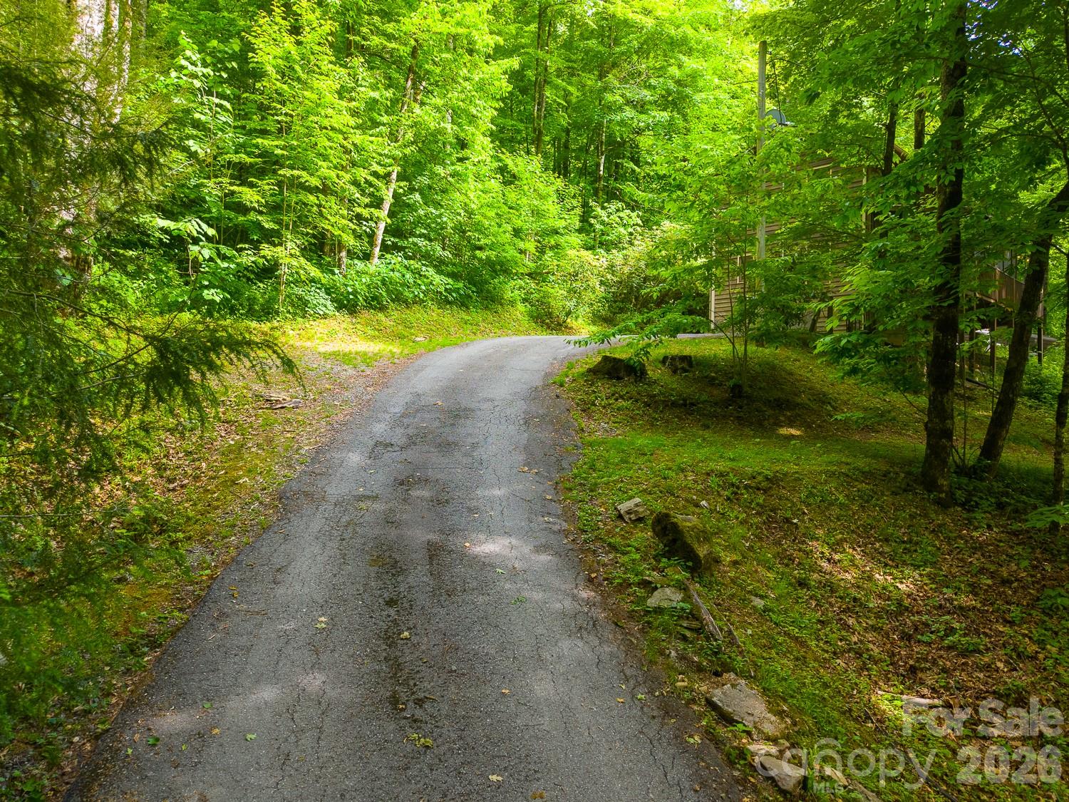 903 Plott Balsam Road Property Photo 17