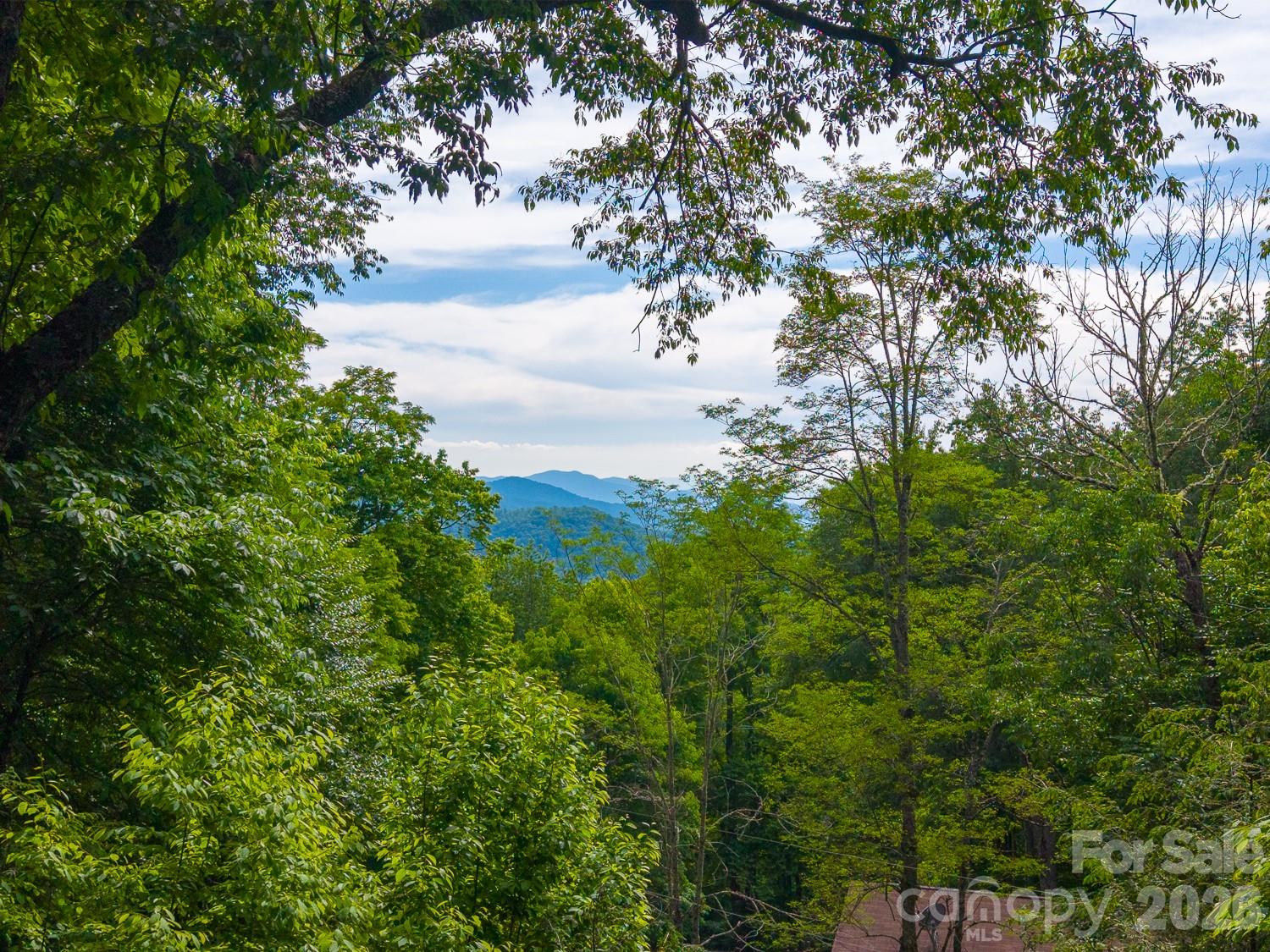 903 Plott Balsam Road Property Photo 19