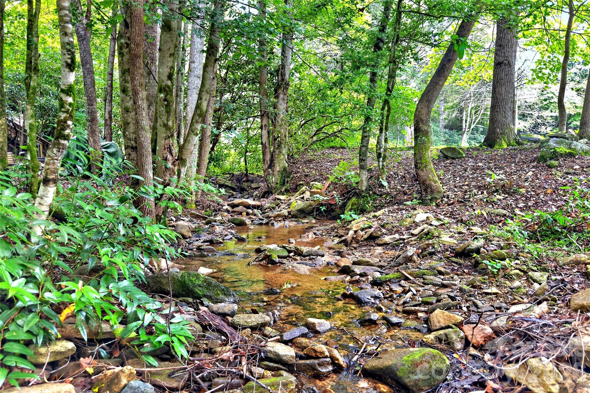 664 Paxton Creek Road Property Photo 4