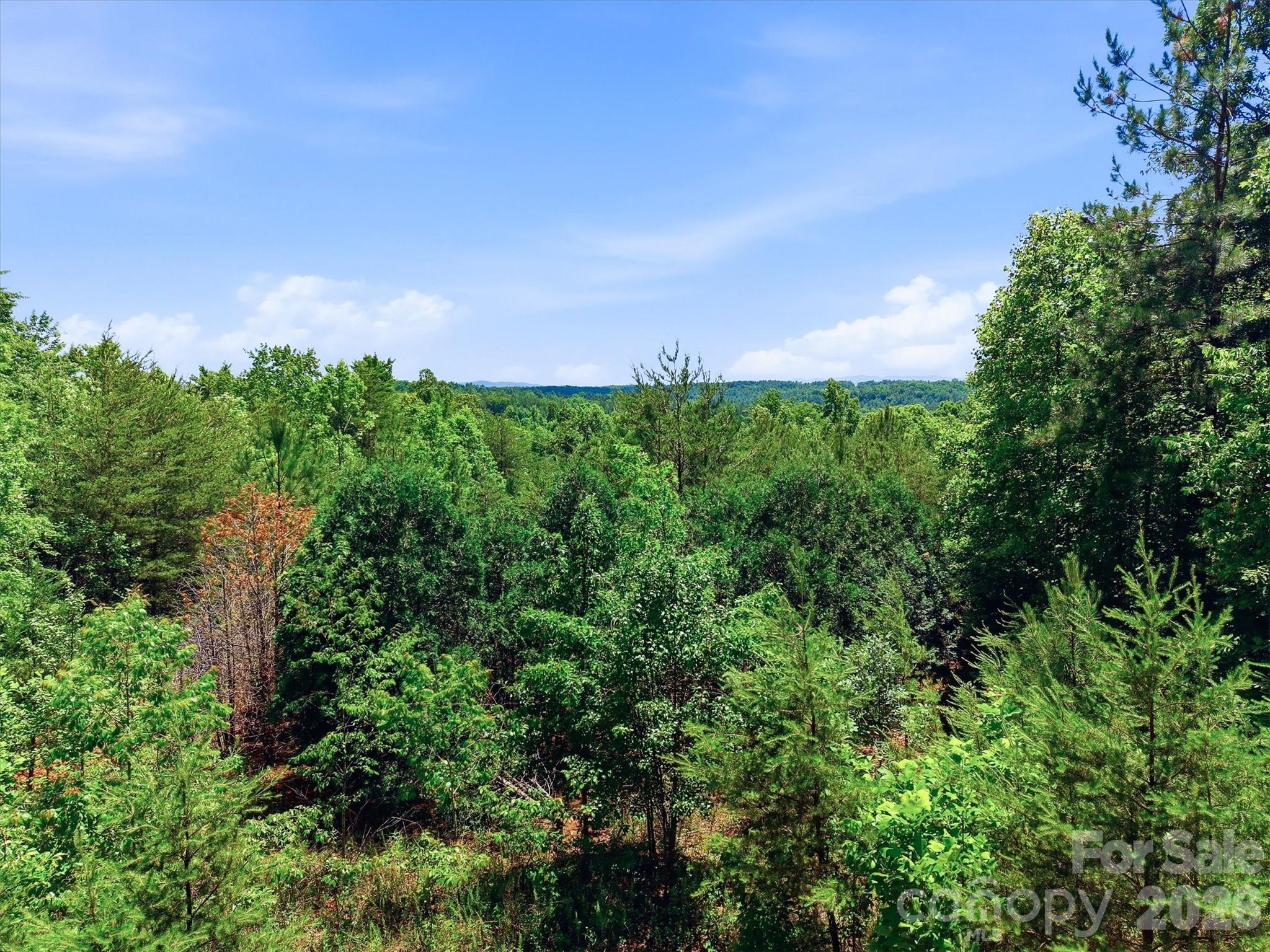 602 Low Valley Way 602 Property Photo 1