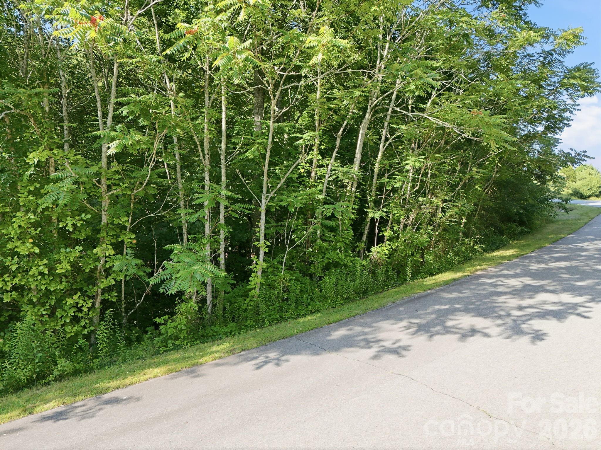 17 Sunny Morning Court Property Photo 7