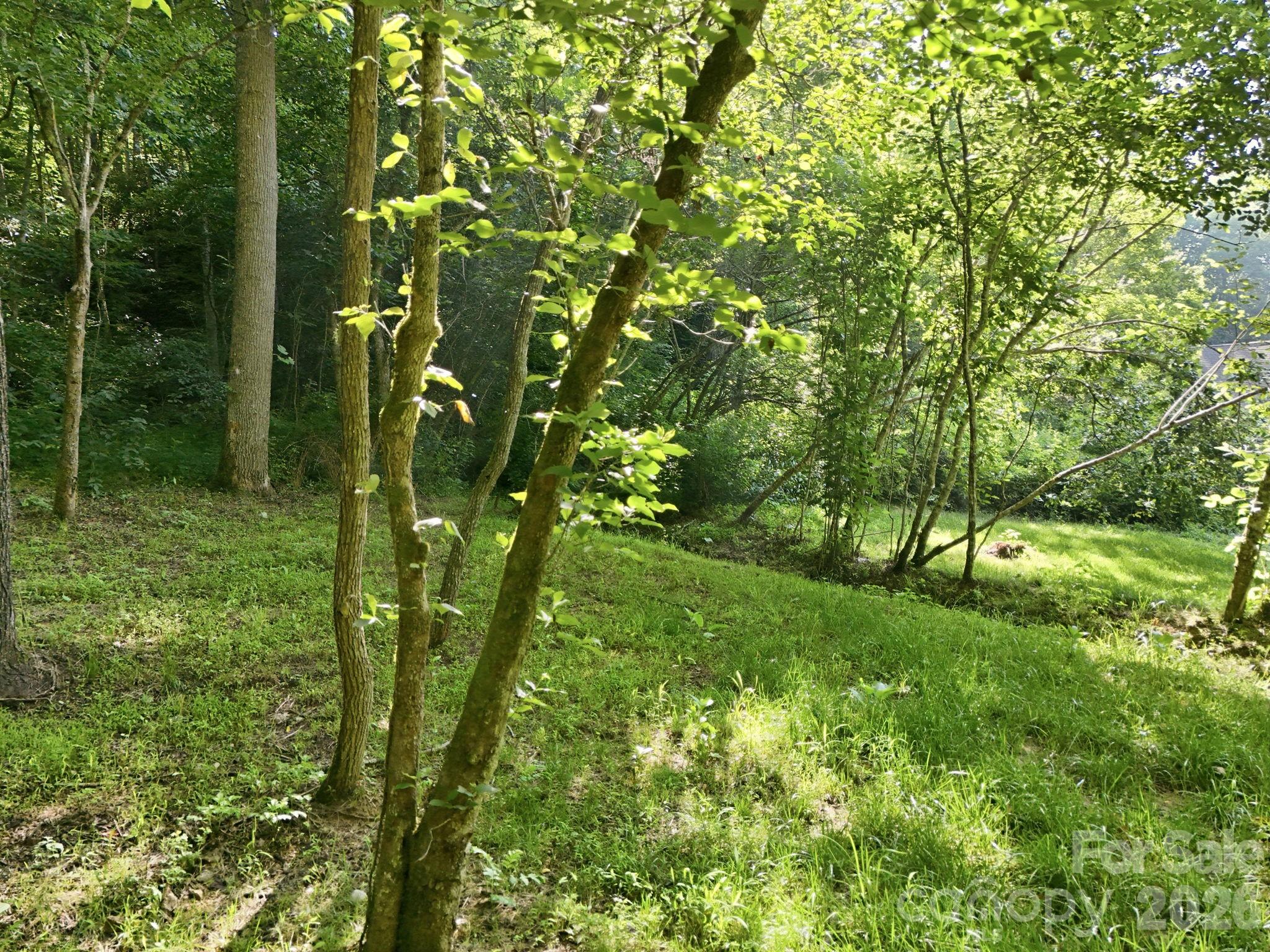 17 Sunny Morning Court Property Photo 20