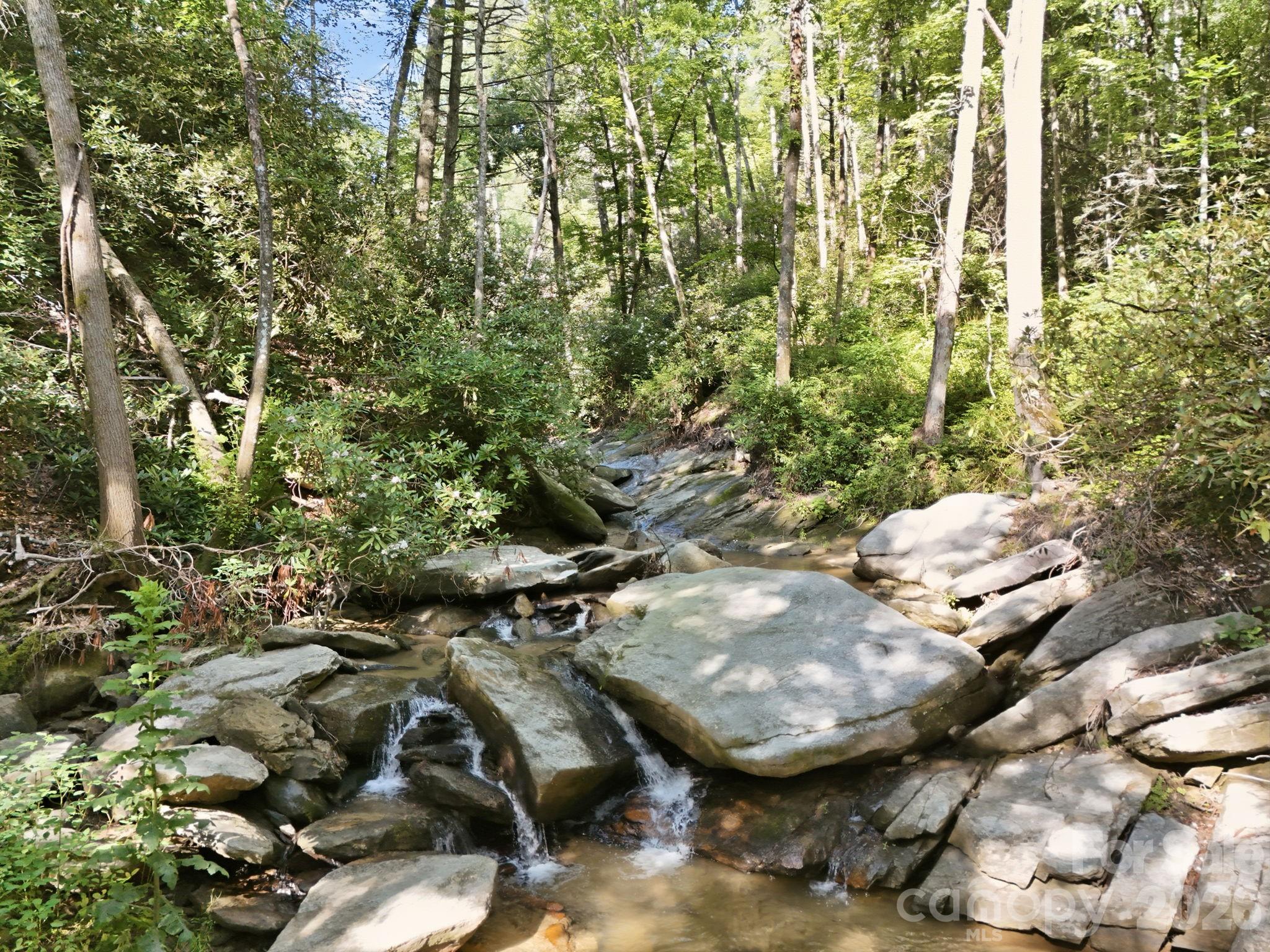 17 Sunny Morning Court Property Photo 22