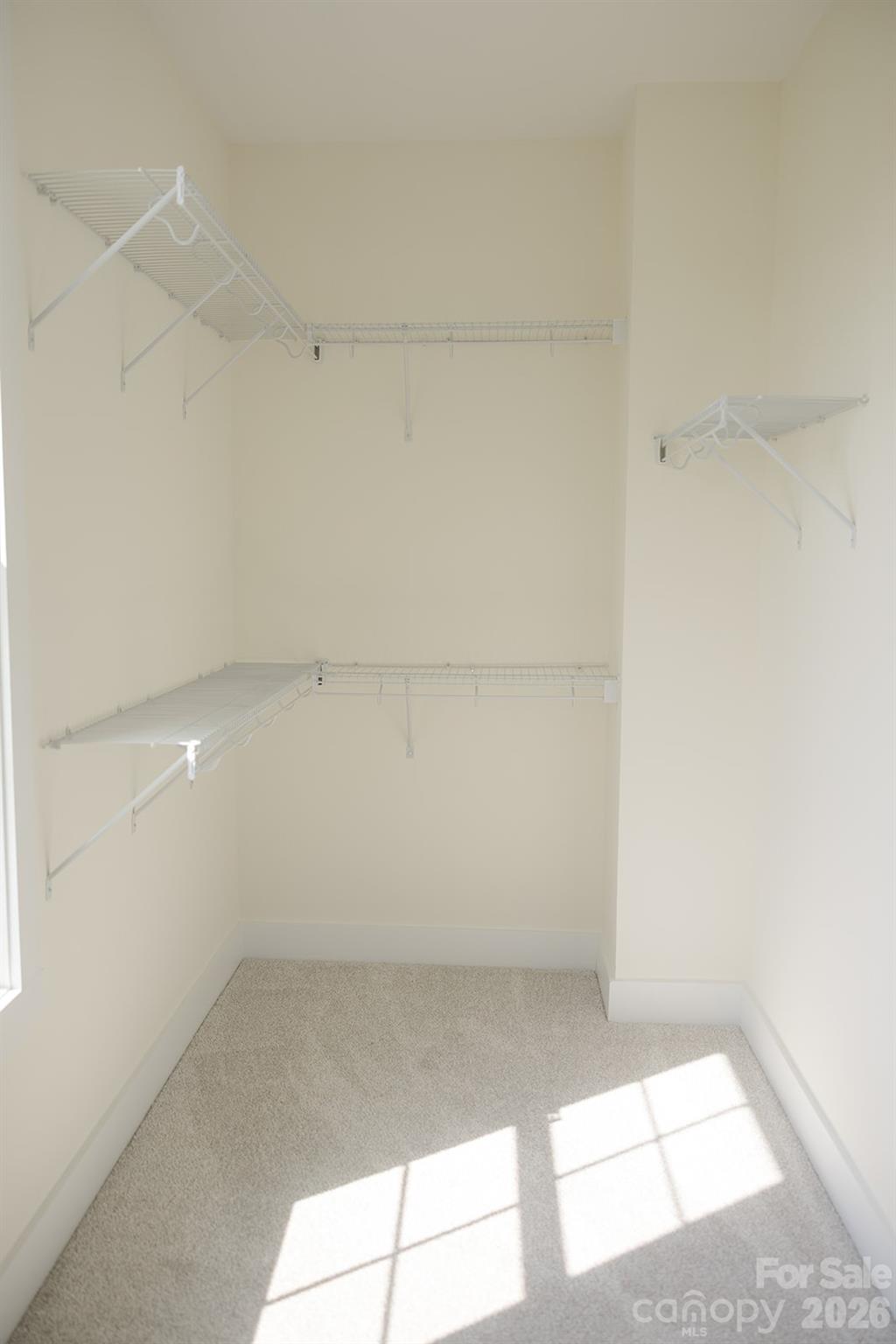 209 Beths Court Property Photo 29