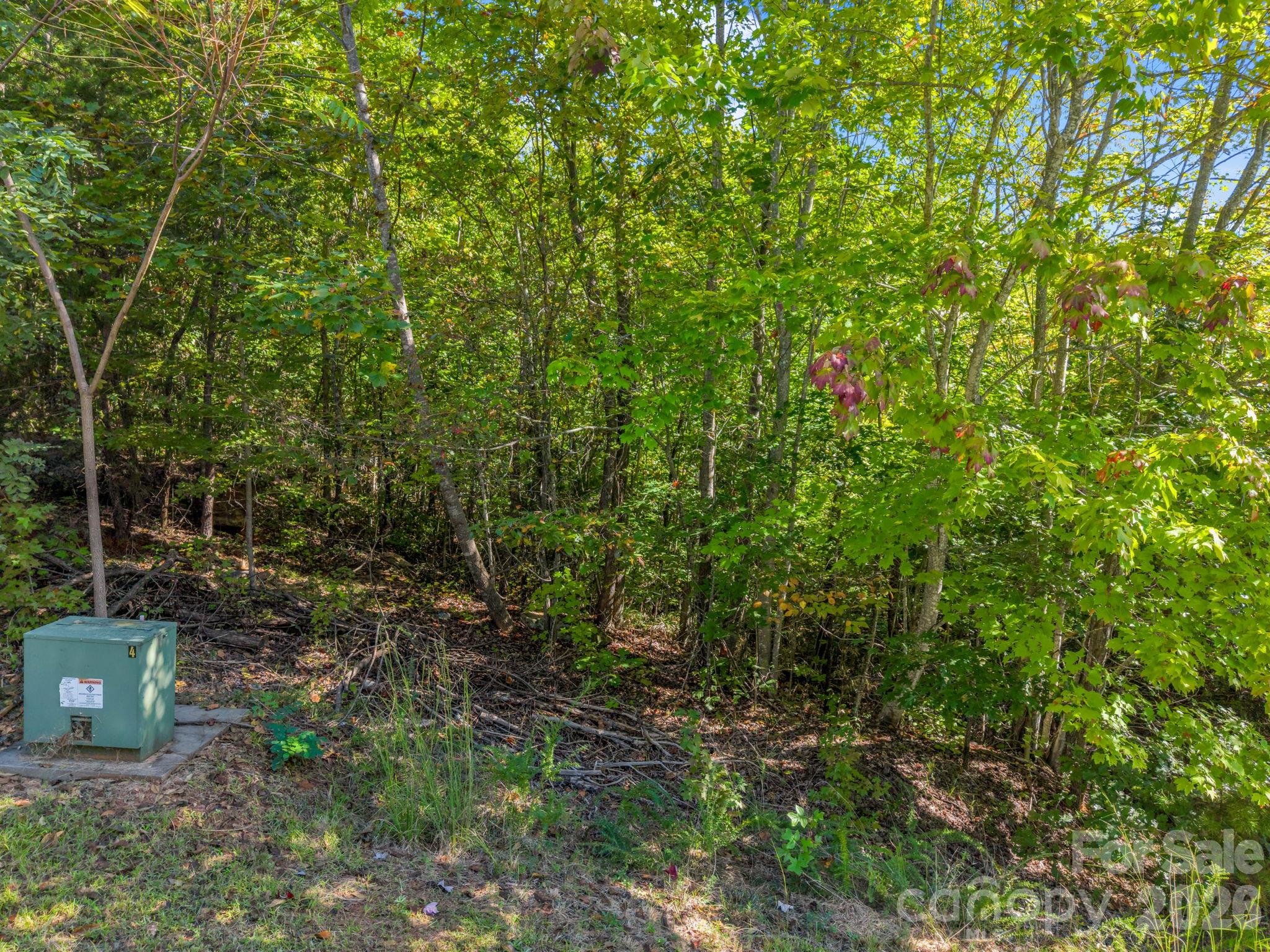 0 Owls Ridge Drive 154 Property Photo 2