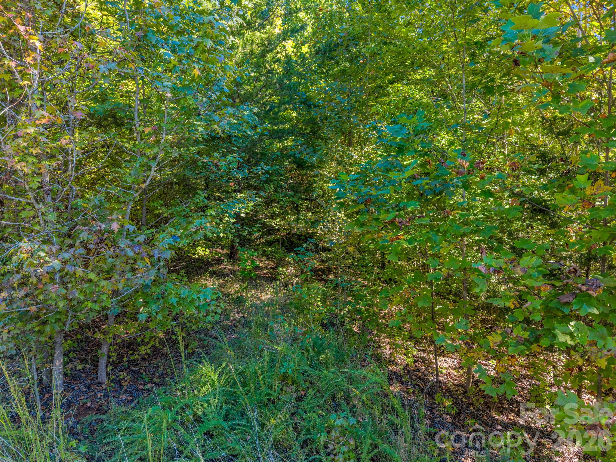 0 Owls Ridge Drive 154 Property Photo 3