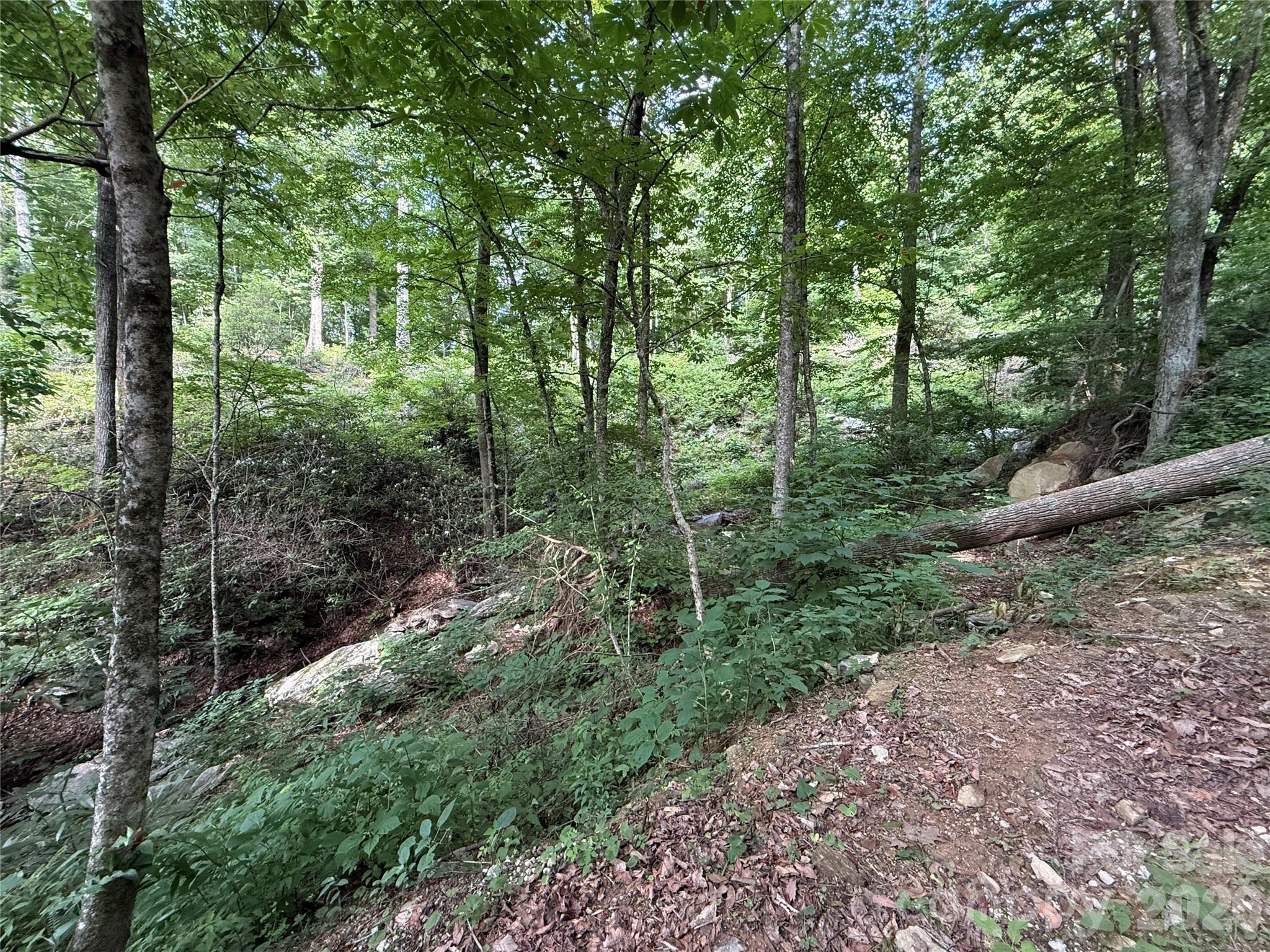 64 Clay View Drive Property Photo 6