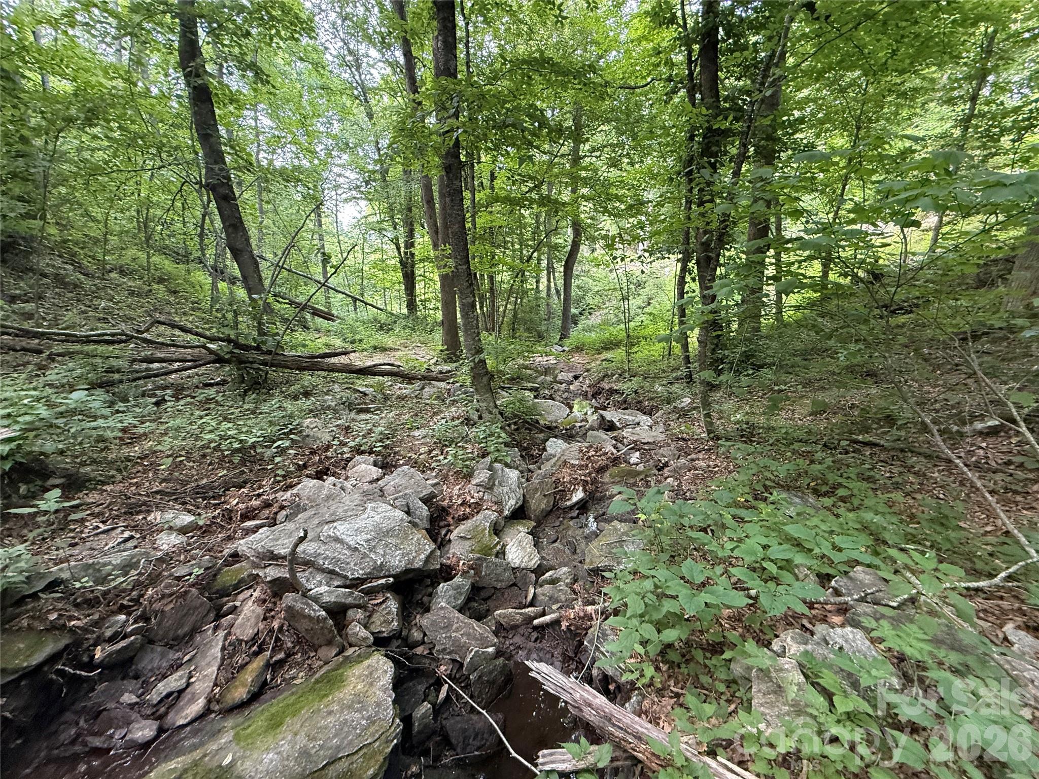 64 Clay View Drive Property Photo 9