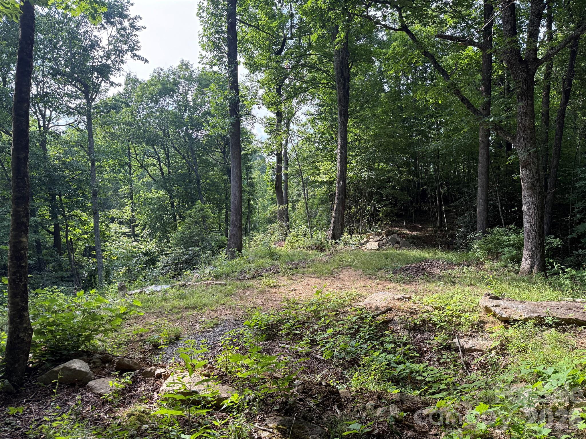 64 Clay View Drive Property Photo 11