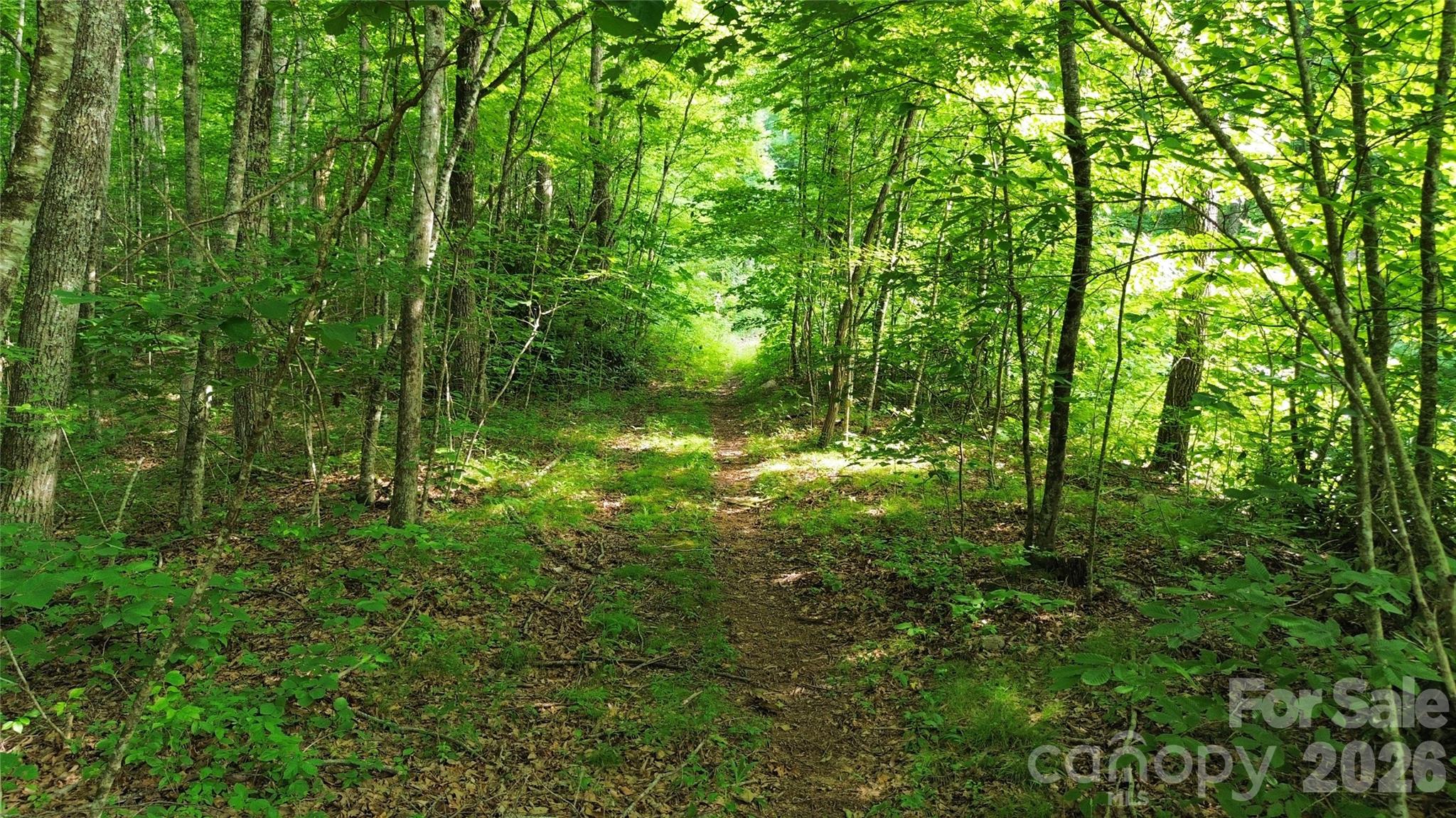 64 Clay View Drive Property Photo 17