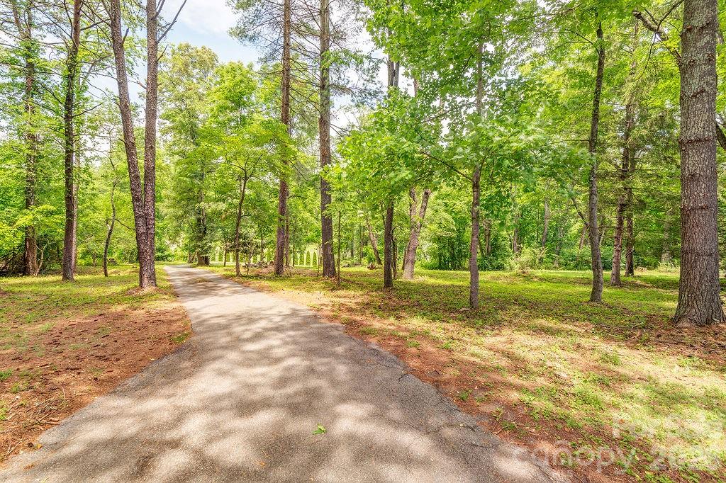 14 High Valley Estates Drive 20 Property Photo 39