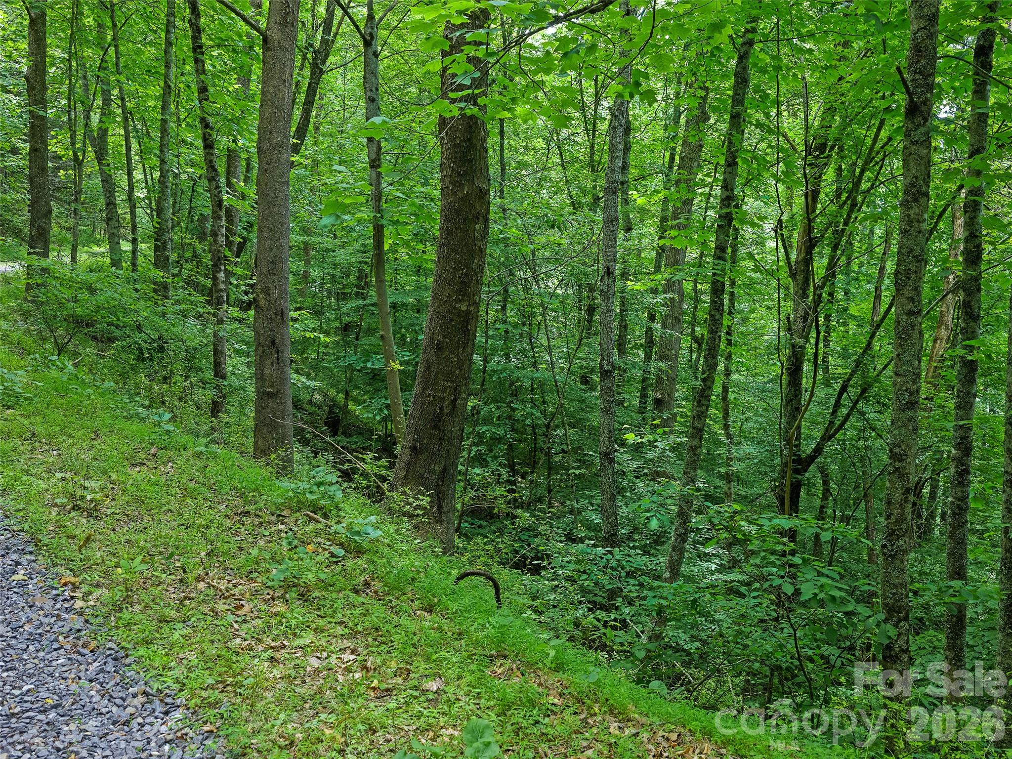 000 Hamlet Drive 1 Property Photo 7