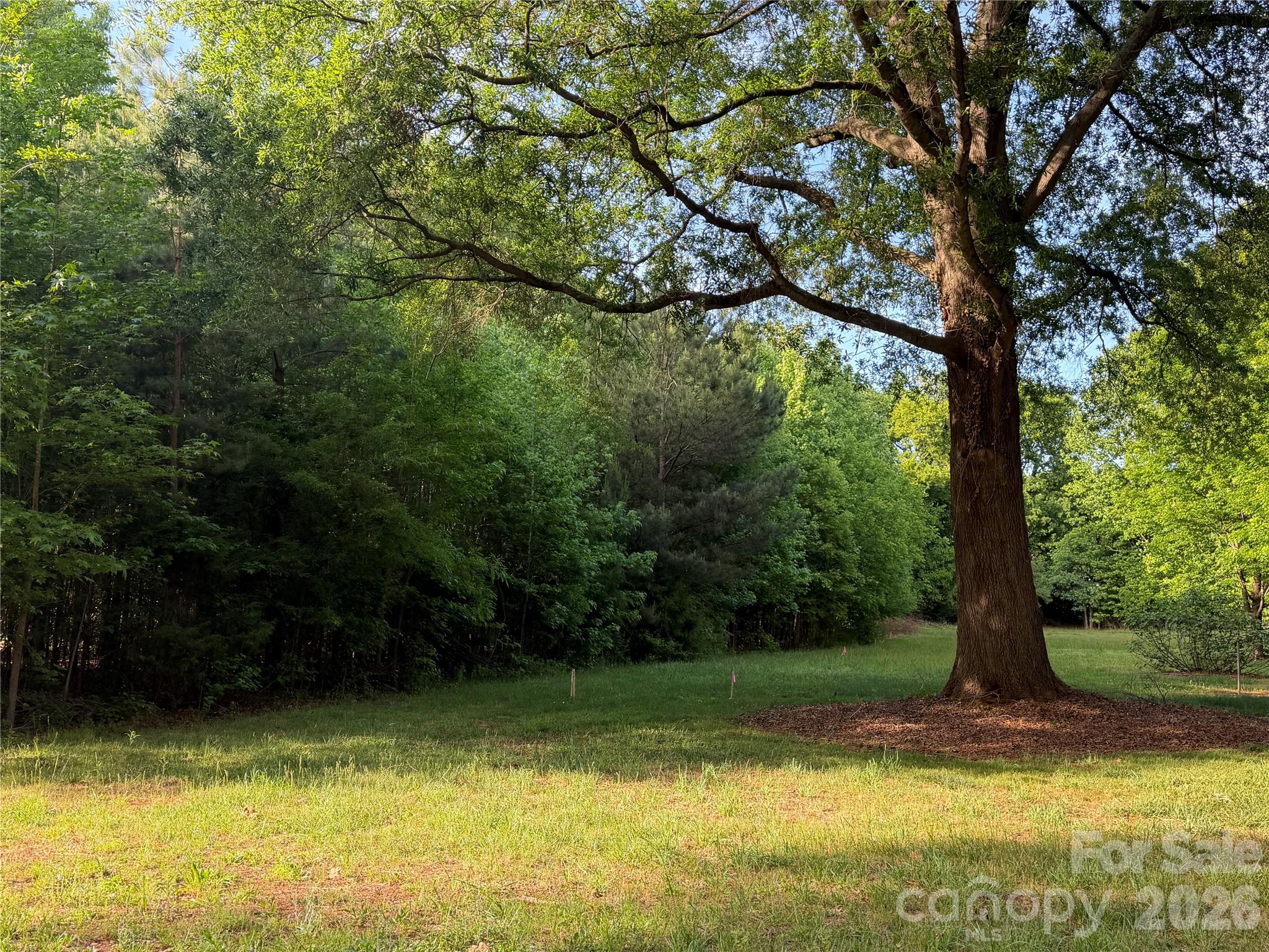 6535 Cashion Road Property Photo 6