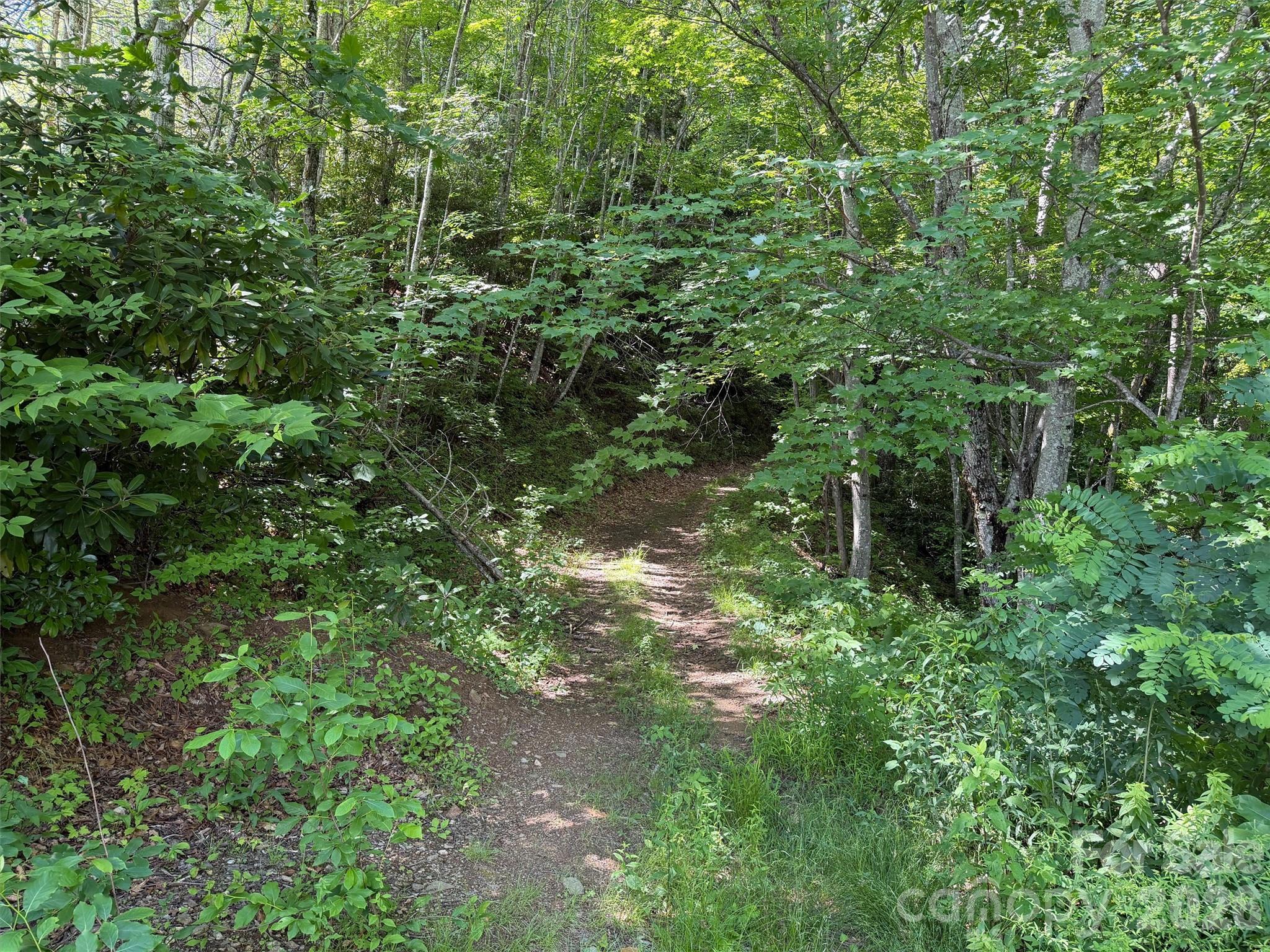 00 Rising Sun Road 338 Property Photo 2
