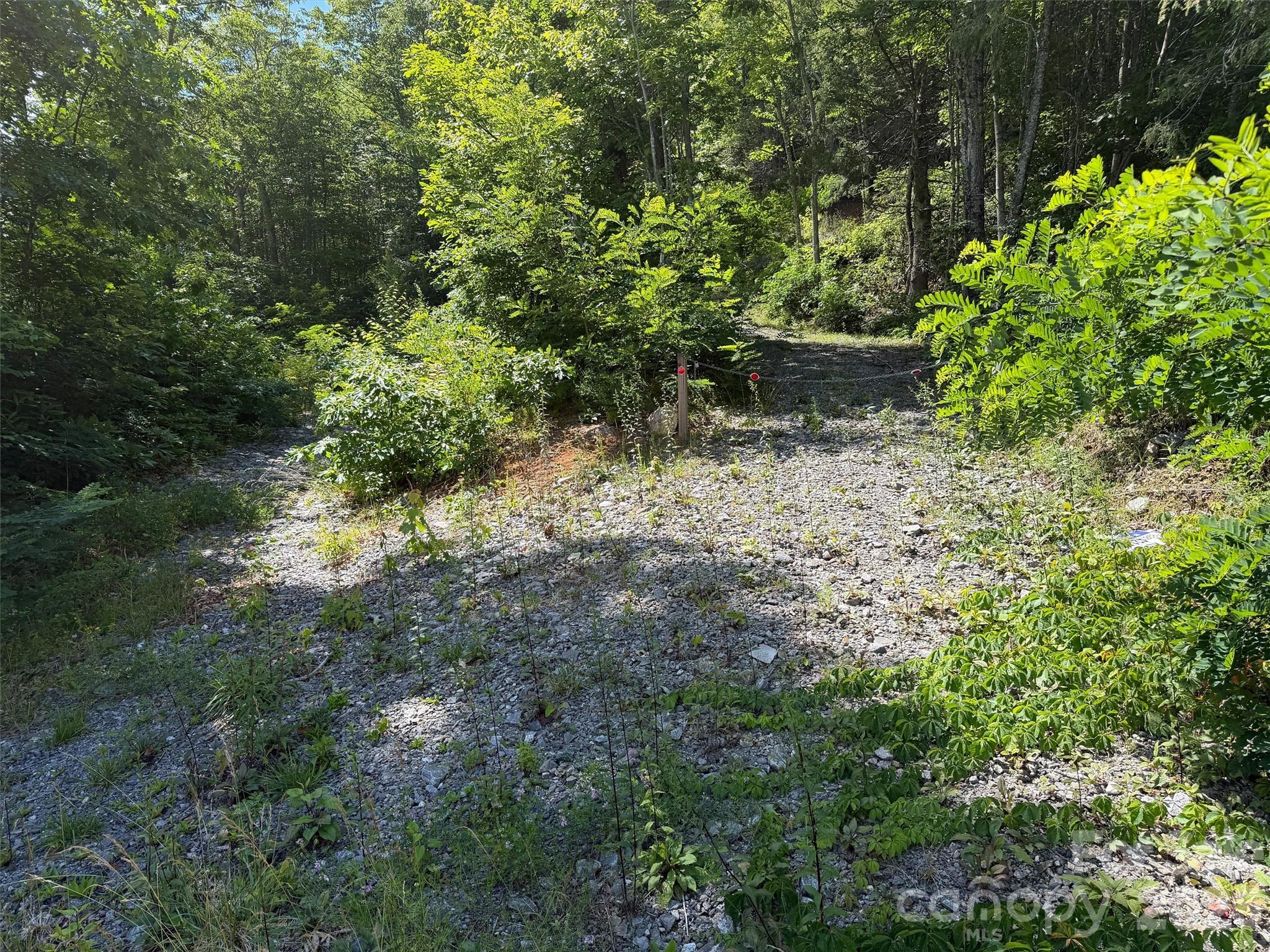 00 Rising Sun Road 338 Property Photo 8