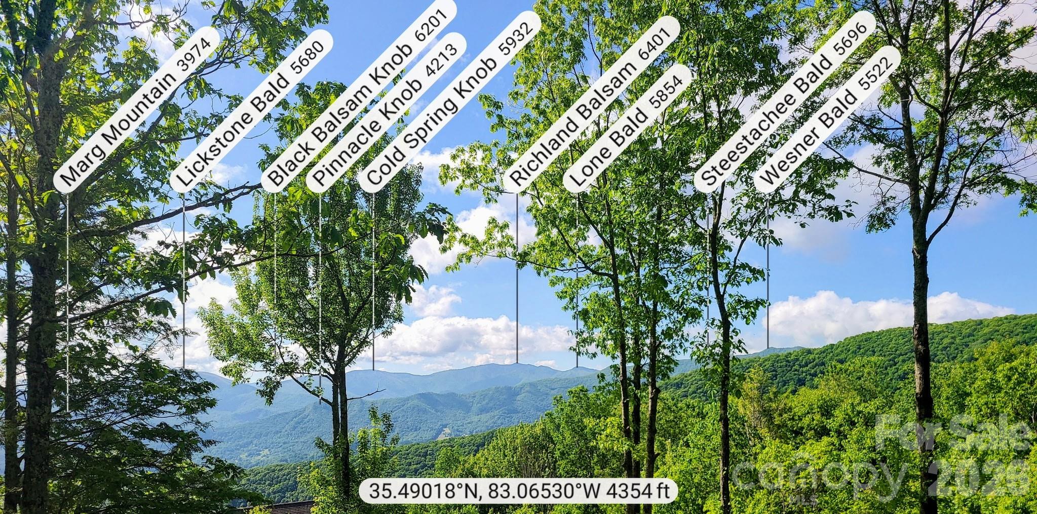 00 Rising Sun Road 338 Property Photo 12