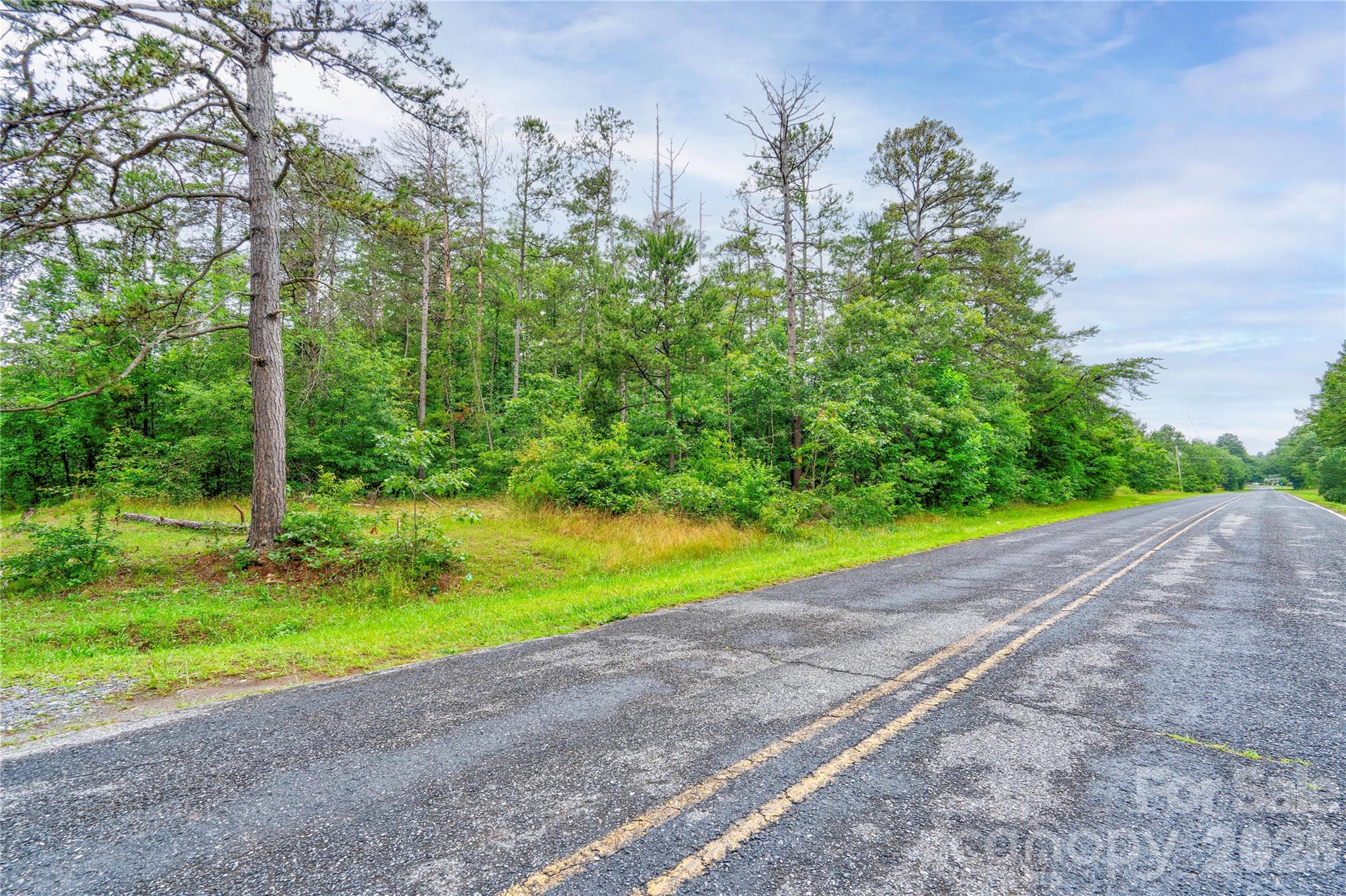 1429 Williamson Road Property Photo 6
