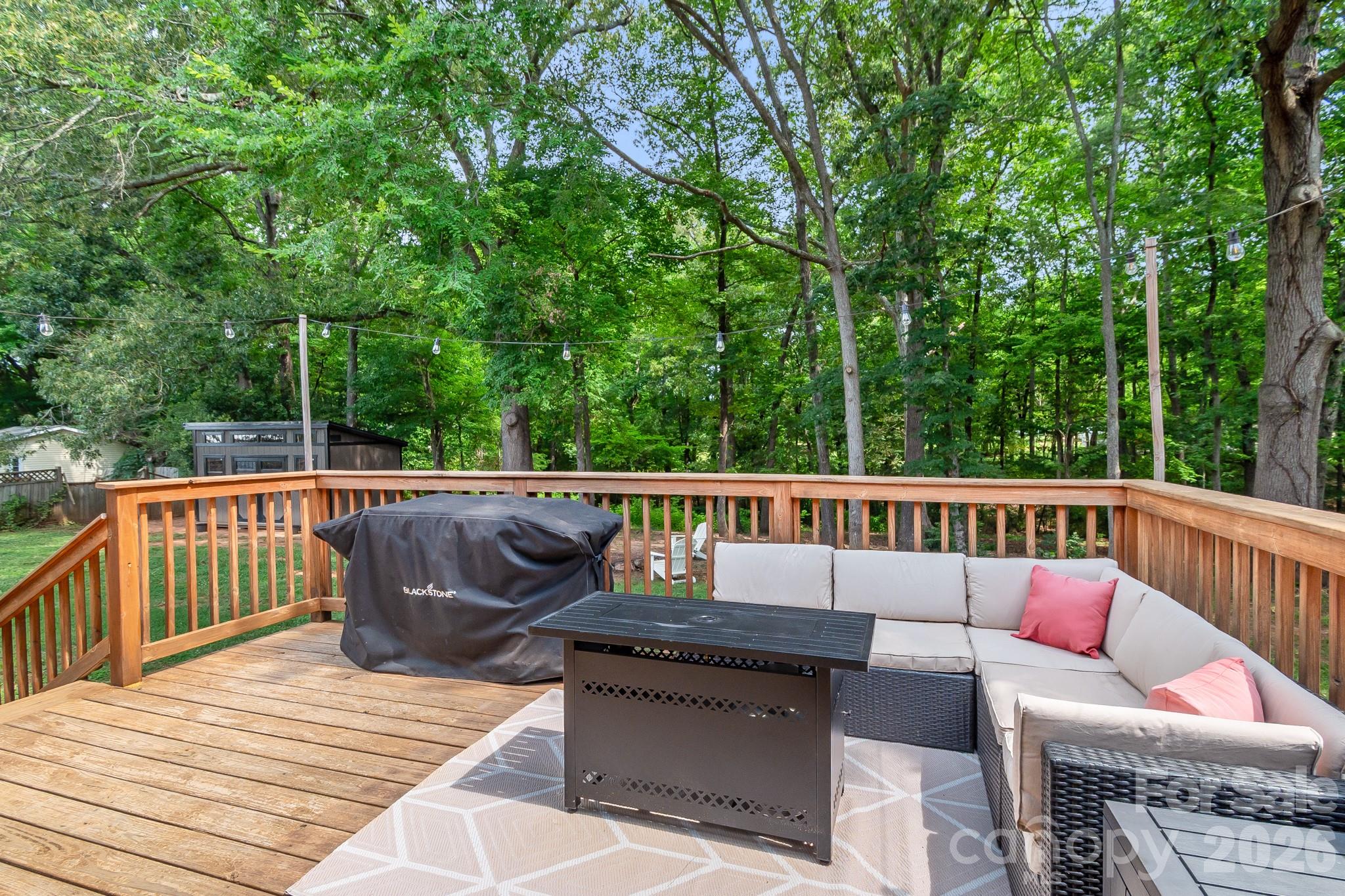 2406 Bearskin Lane Property Photo 23
