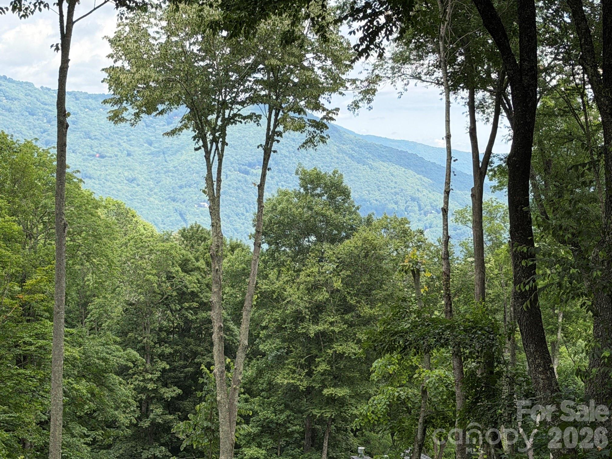 Lot 5 Gadohi Trail 5 Property Photo 1