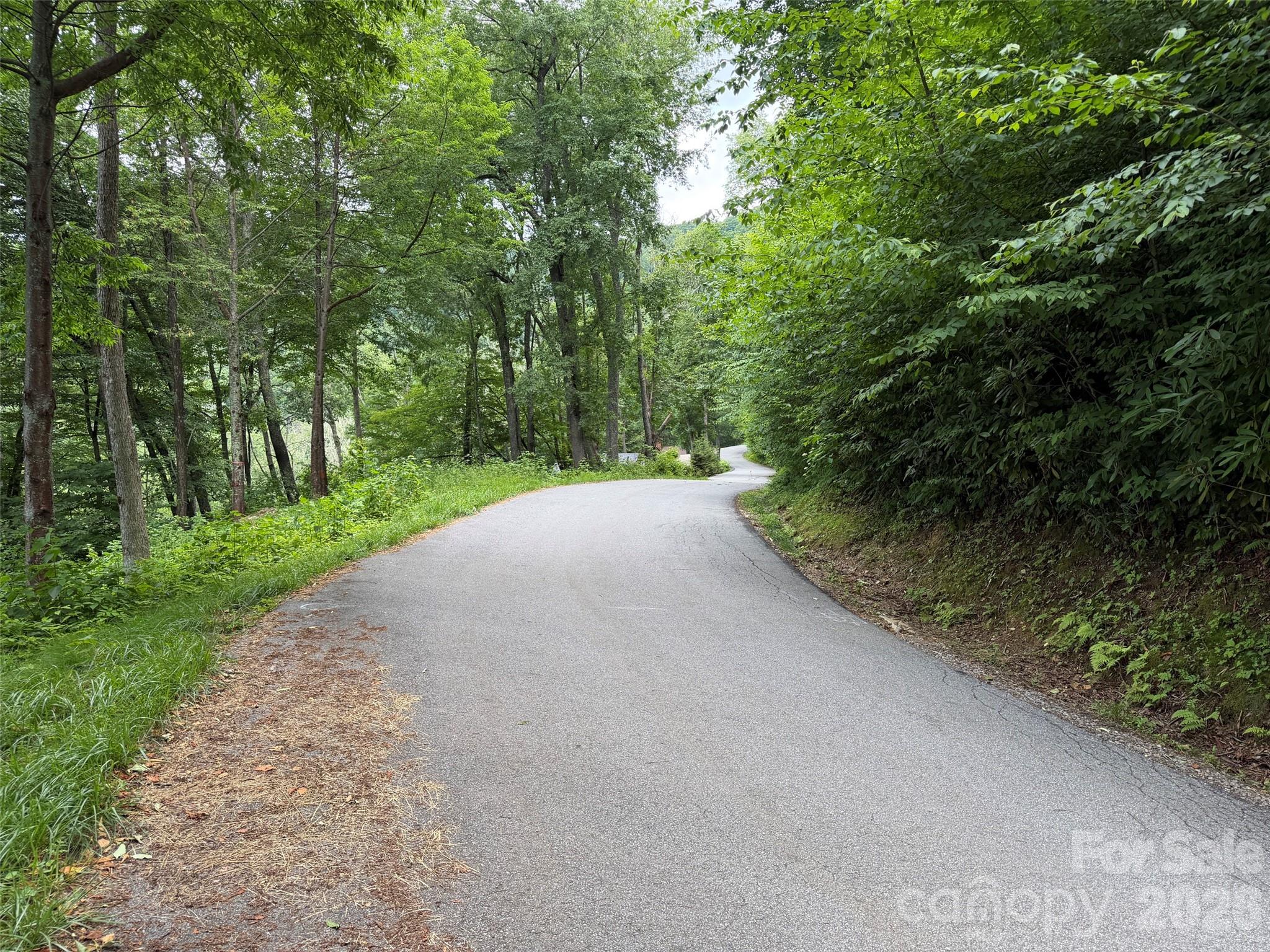 Lot 5 Gadohi Trail 5 Property Photo 3