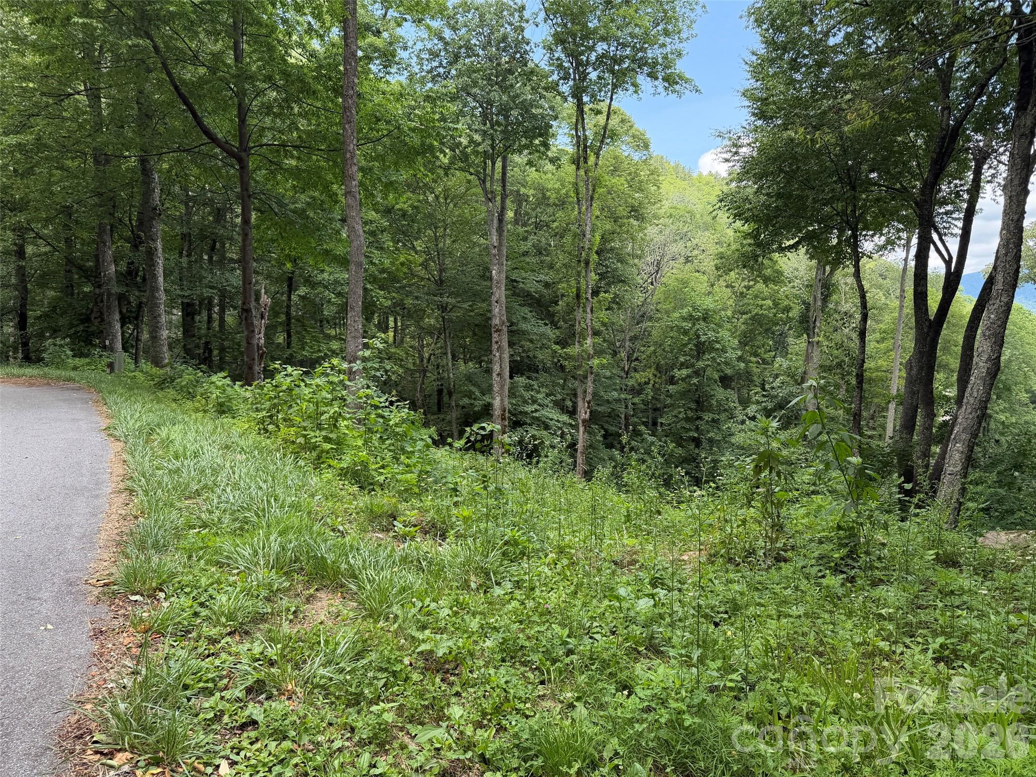 Lot 5 Gadohi Trail 5 Property Photo 4