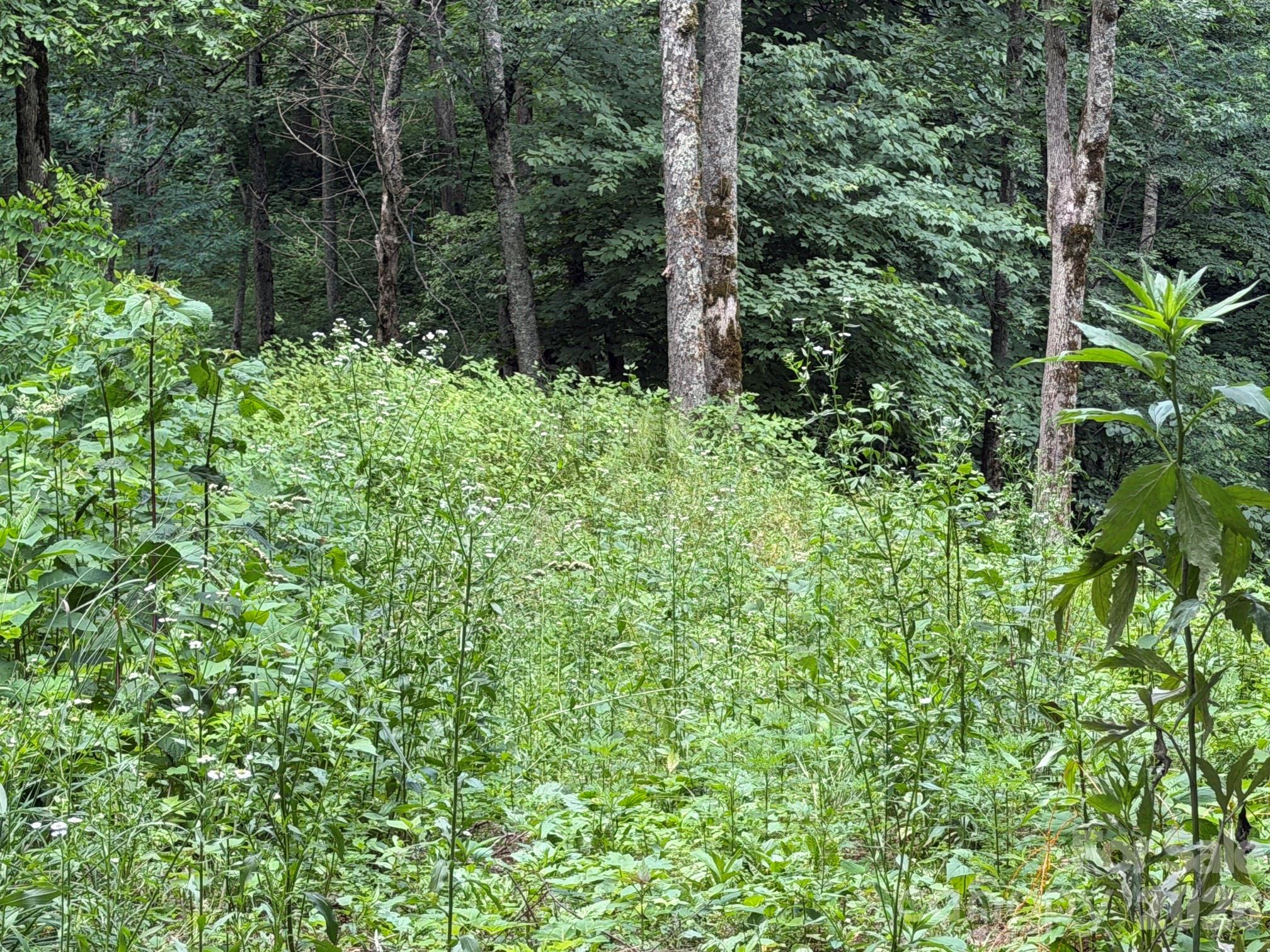 Lot 5 Gadohi Trail 5 Property Photo 5