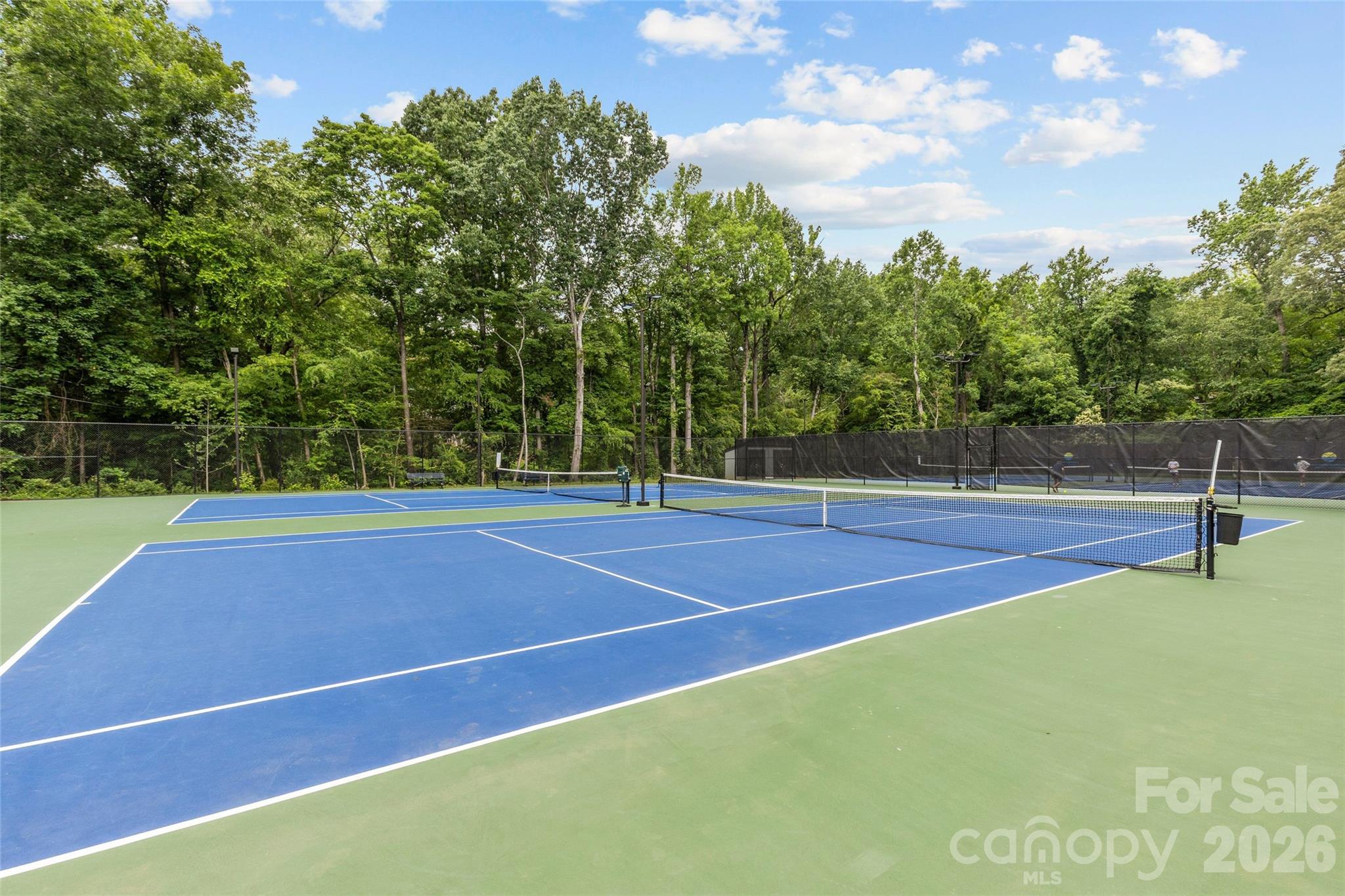 3519 Mill Pond Road Property Photo 40