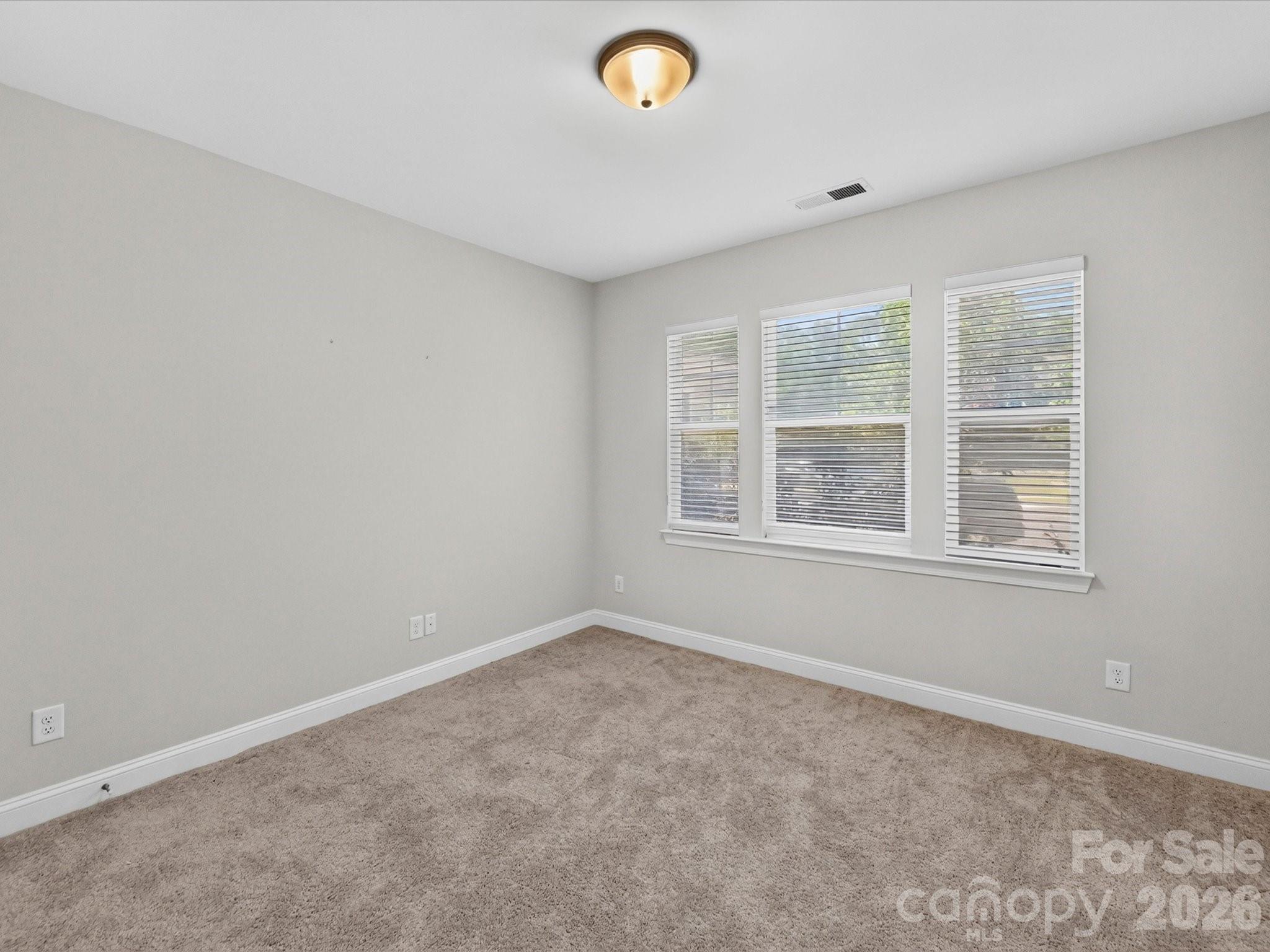 161 Cotton Field Drive Property Photo 23