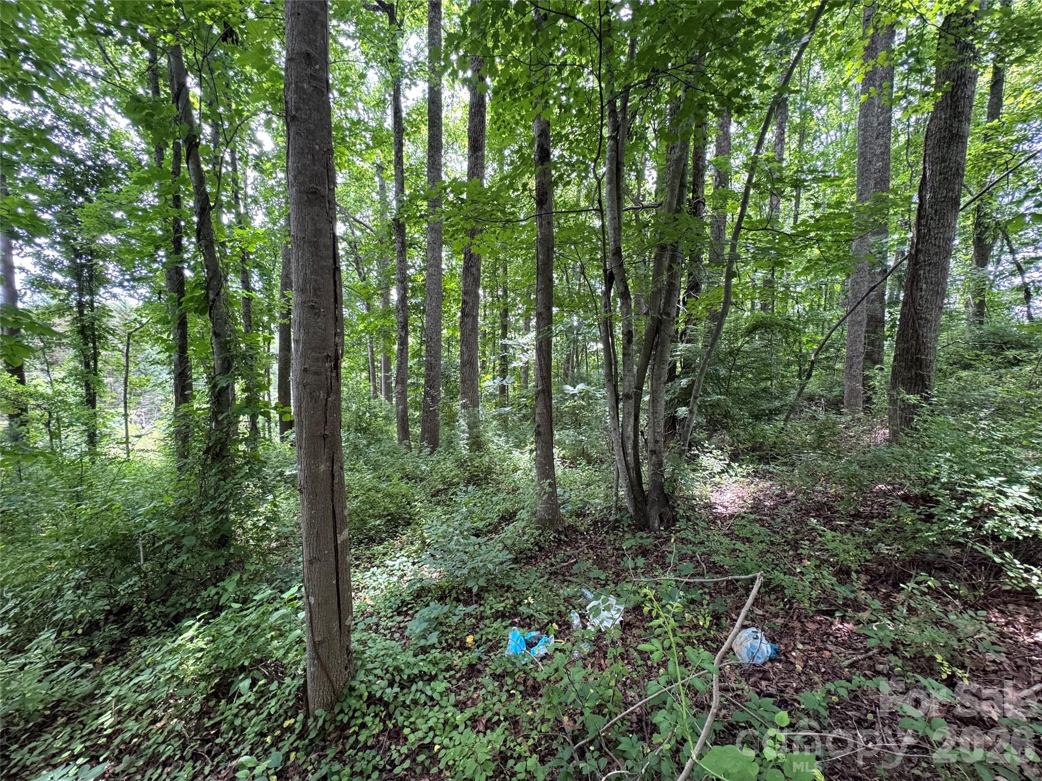 400 & 402 Sharon Road Property Photo 7