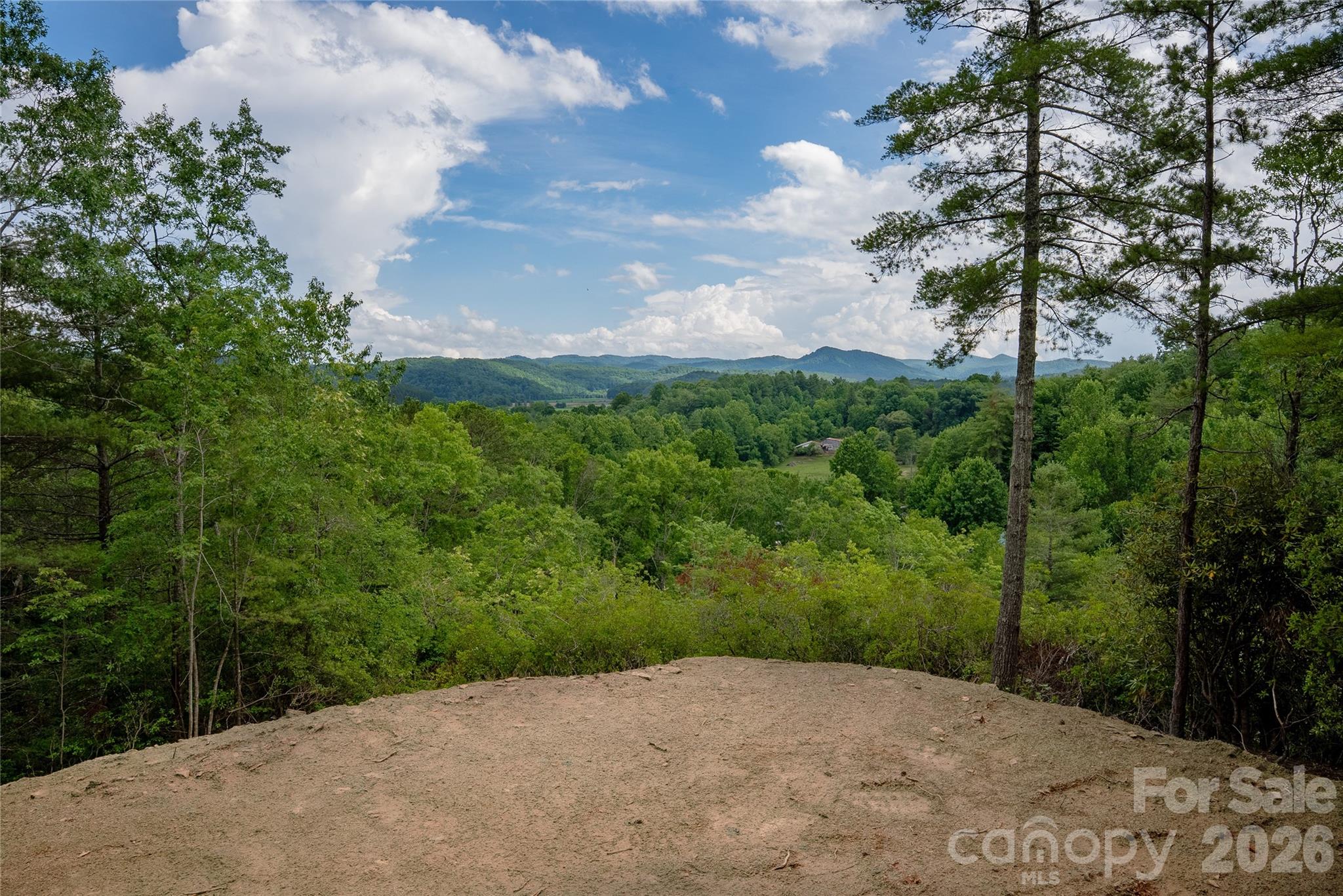 Tbd Cherryfield Loop Road Property Photo 1