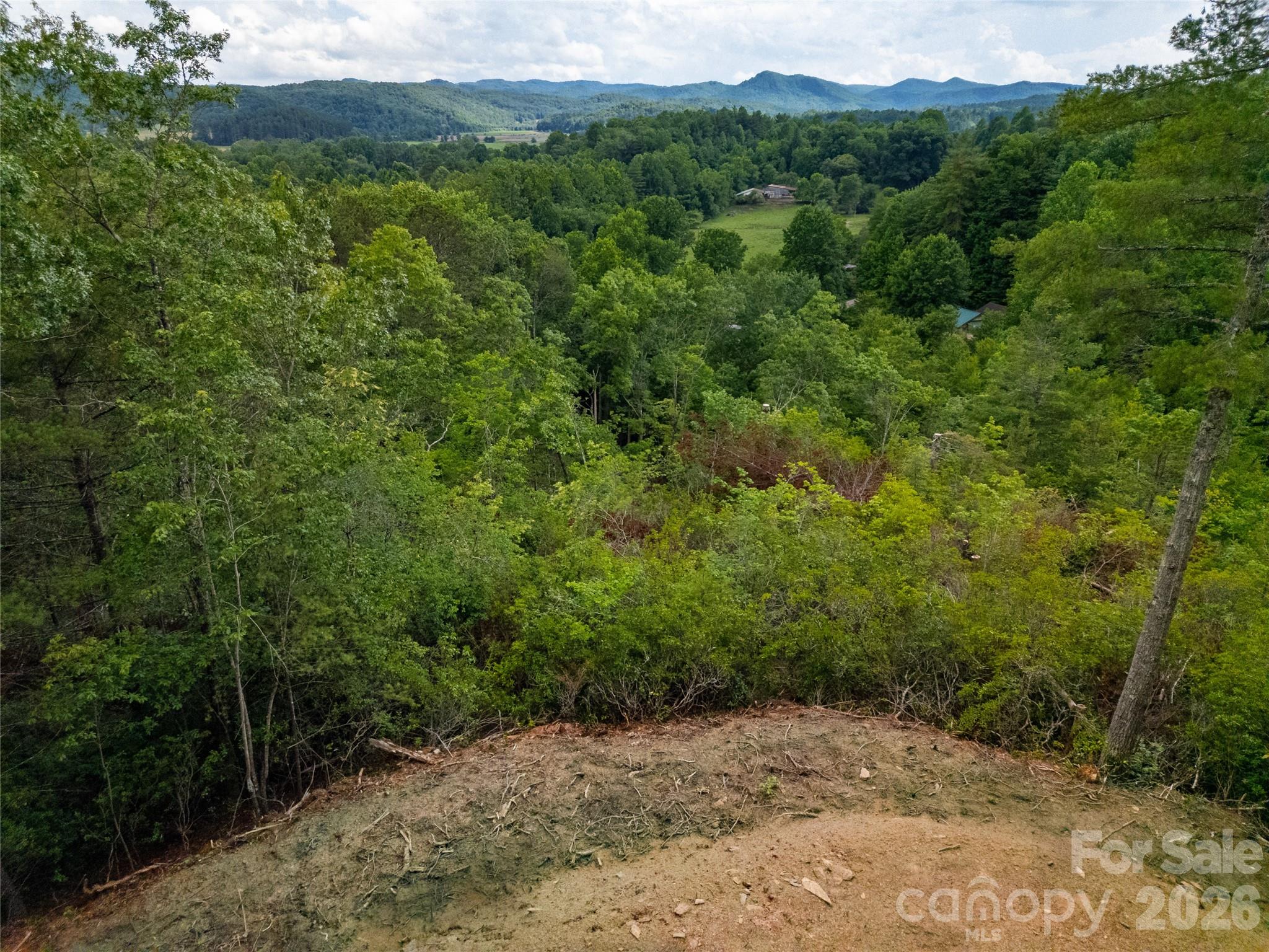 Tbd Cherryfield Loop Road Property Photo 2