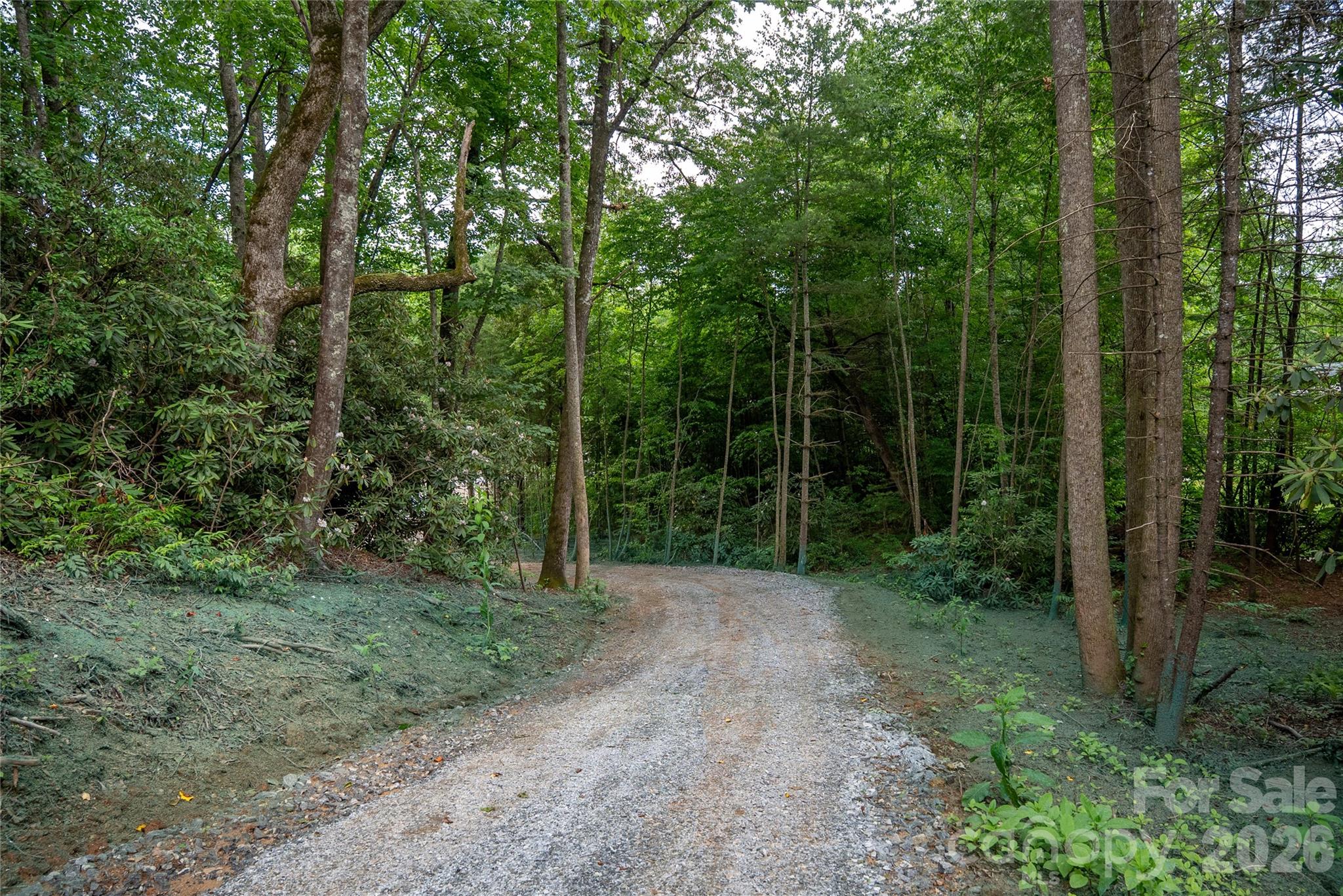 Tbd Cherryfield Loop Road Property Photo 7