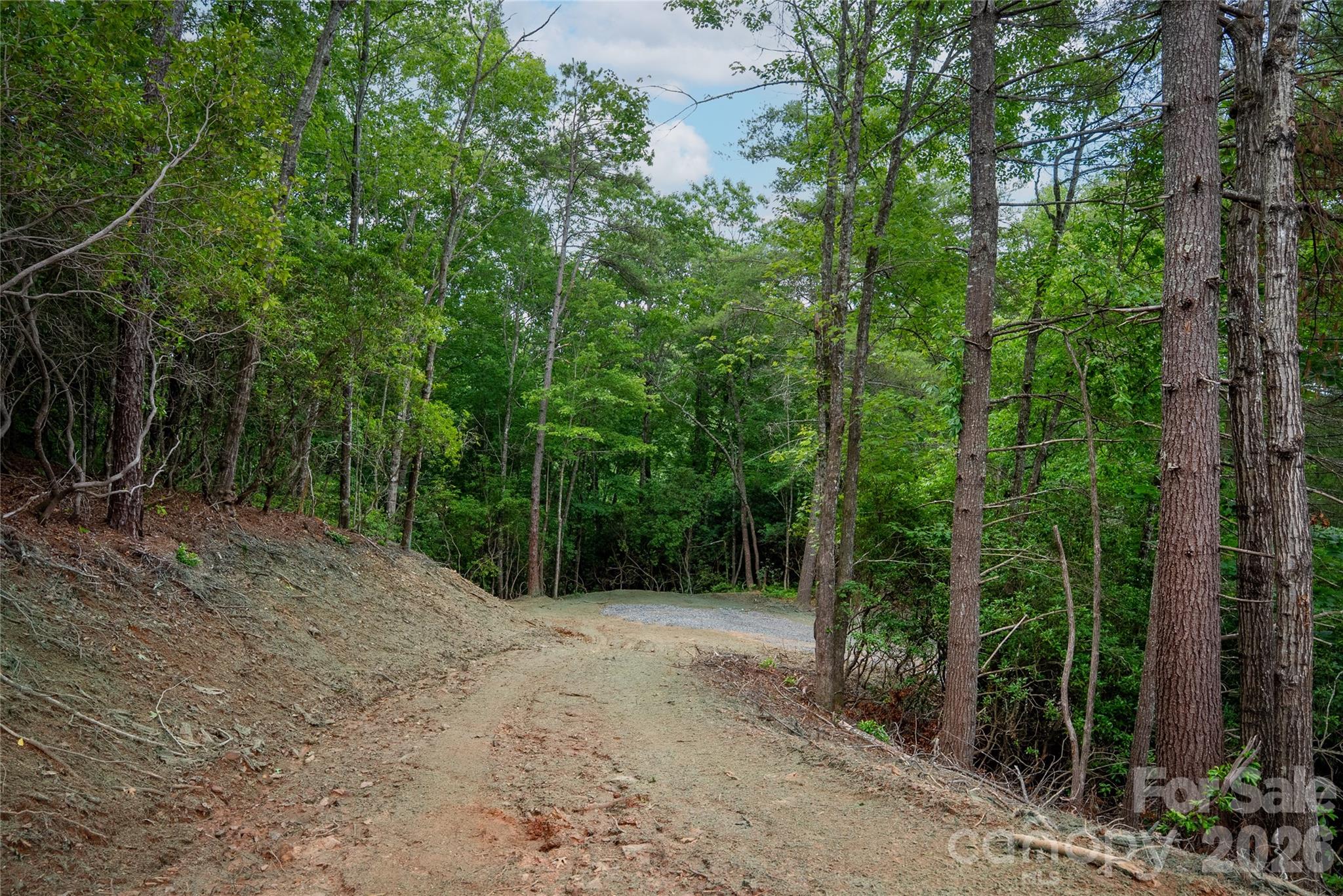 Tbd Cherryfield Loop Road Property Photo 8