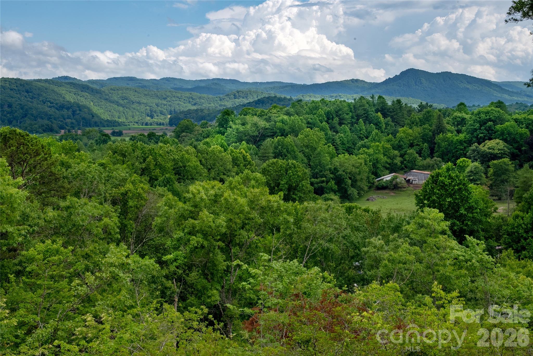 Tbd Cherryfield Loop Road Property Photo 10