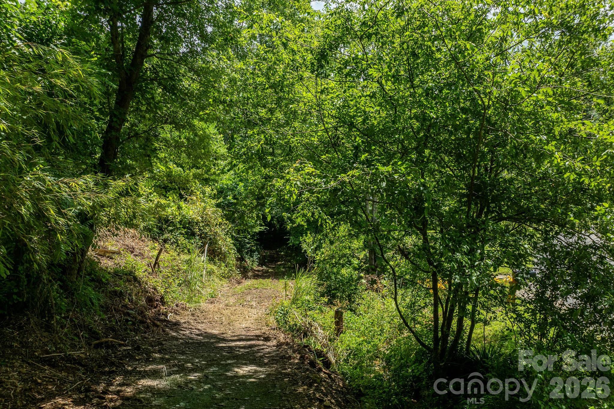 789 Jarrett Cove Road Property Photo 4