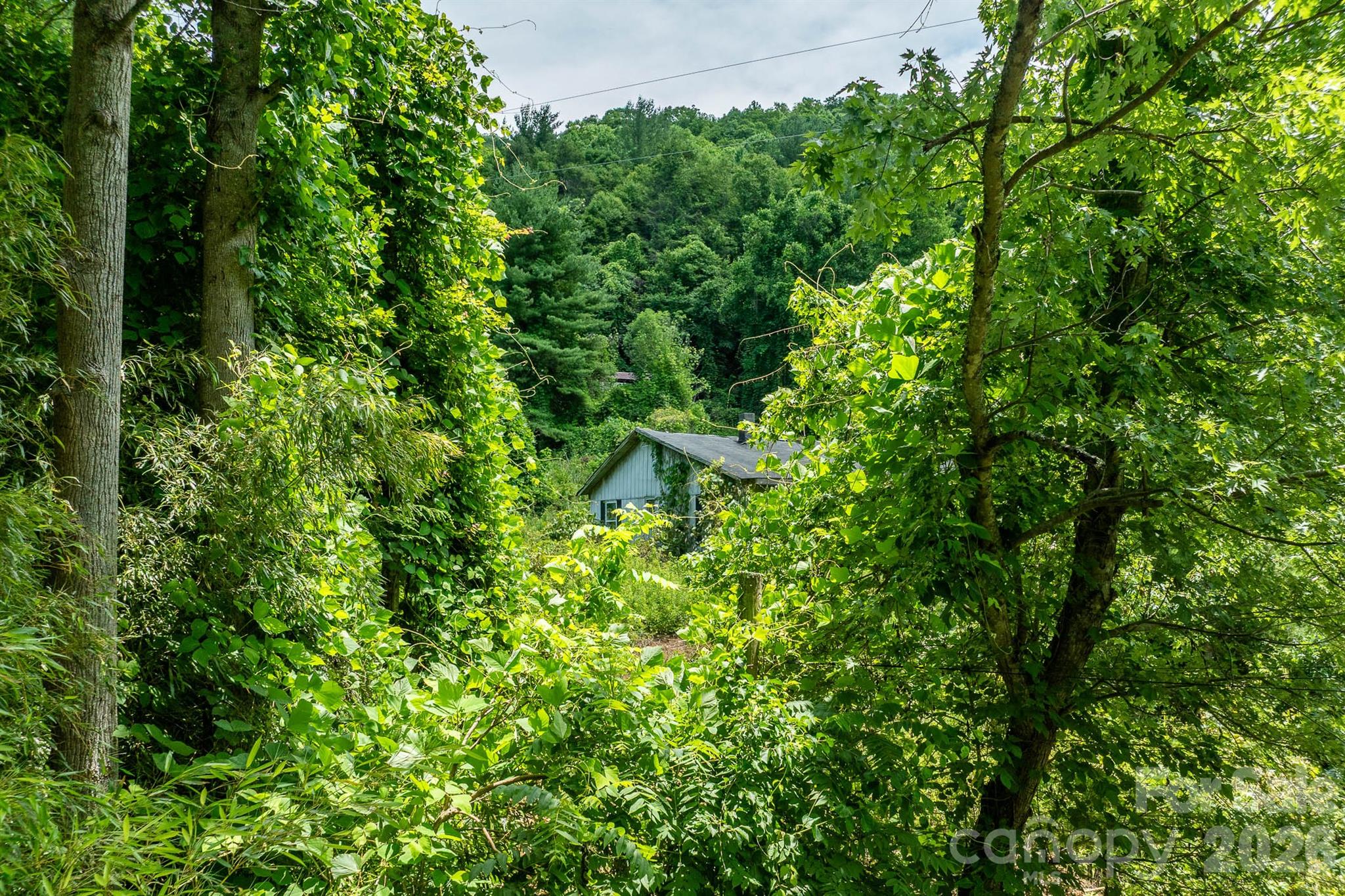 789 Jarrett Cove Road Property Photo 11