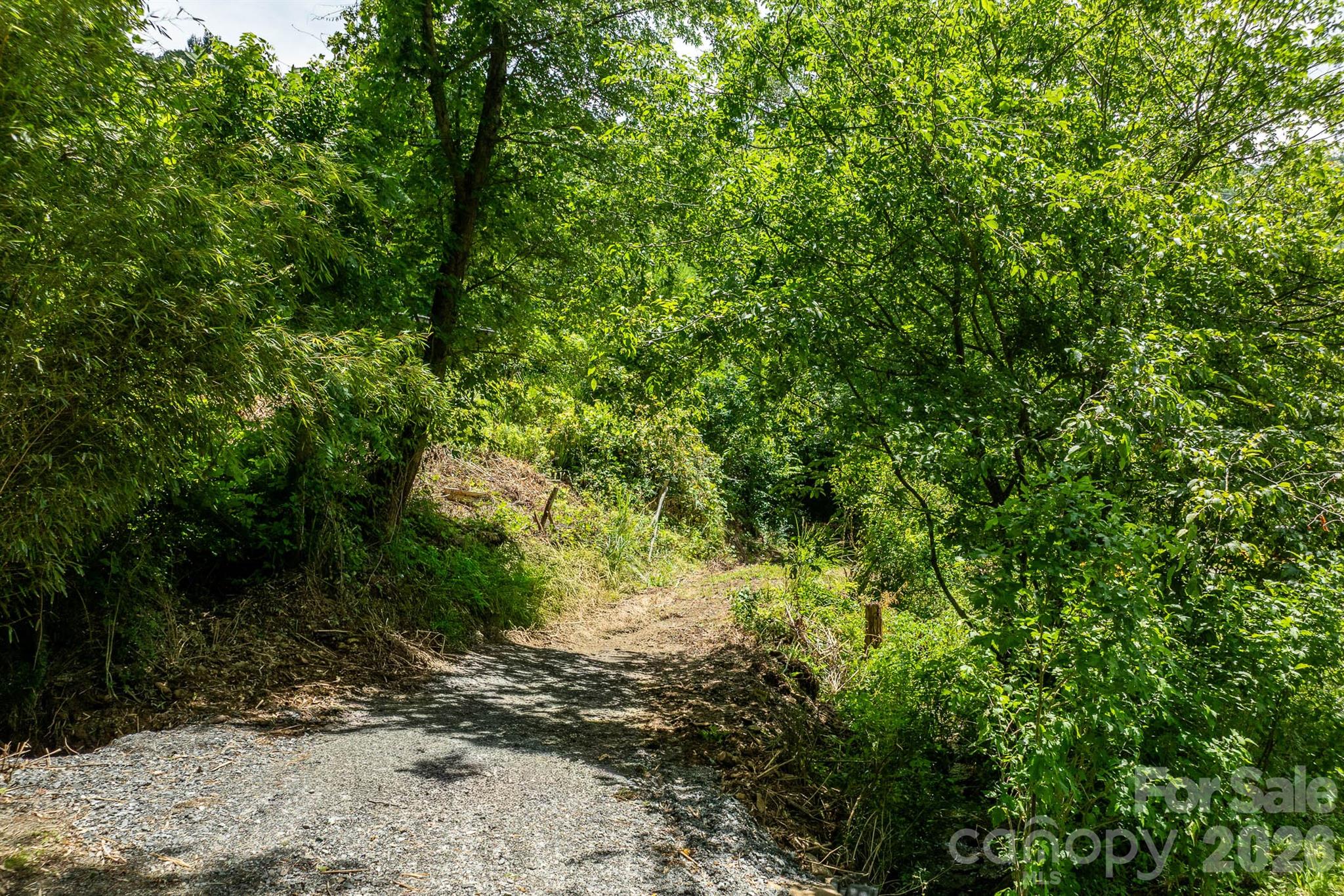 789 Jarrett Cove Road Property Photo 12