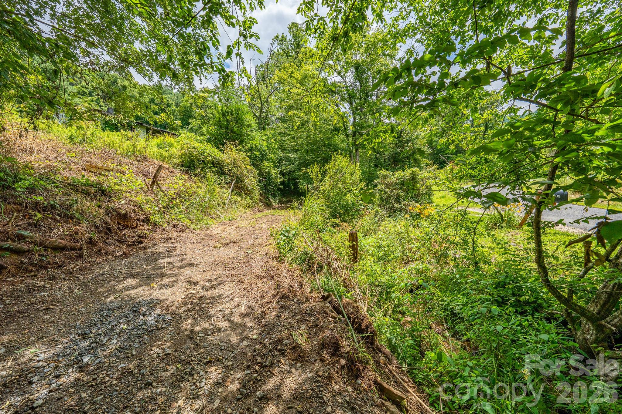 789 Jarrett Cove Road Property Photo 13