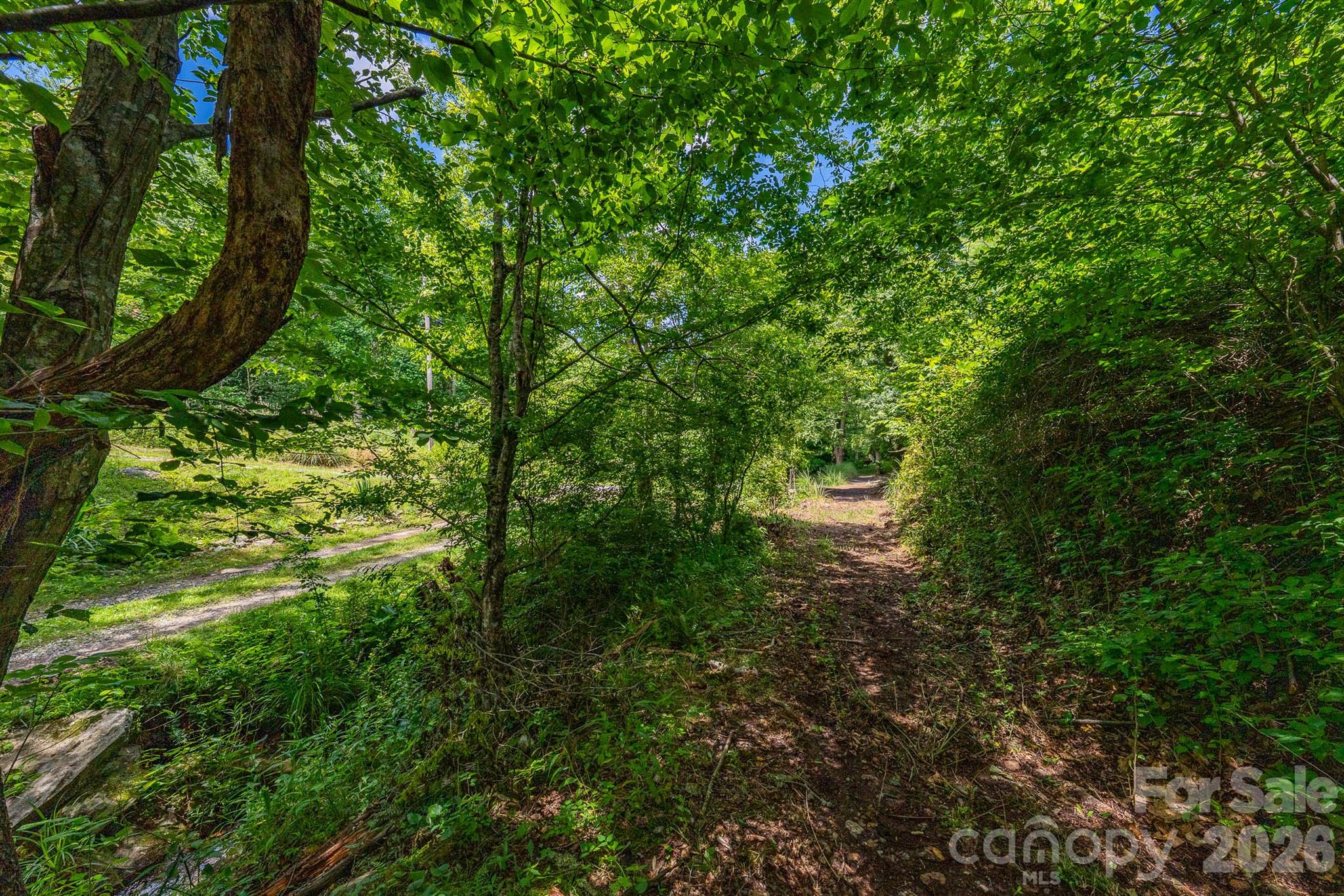 789 Jarrett Cove Road Property Photo 14
