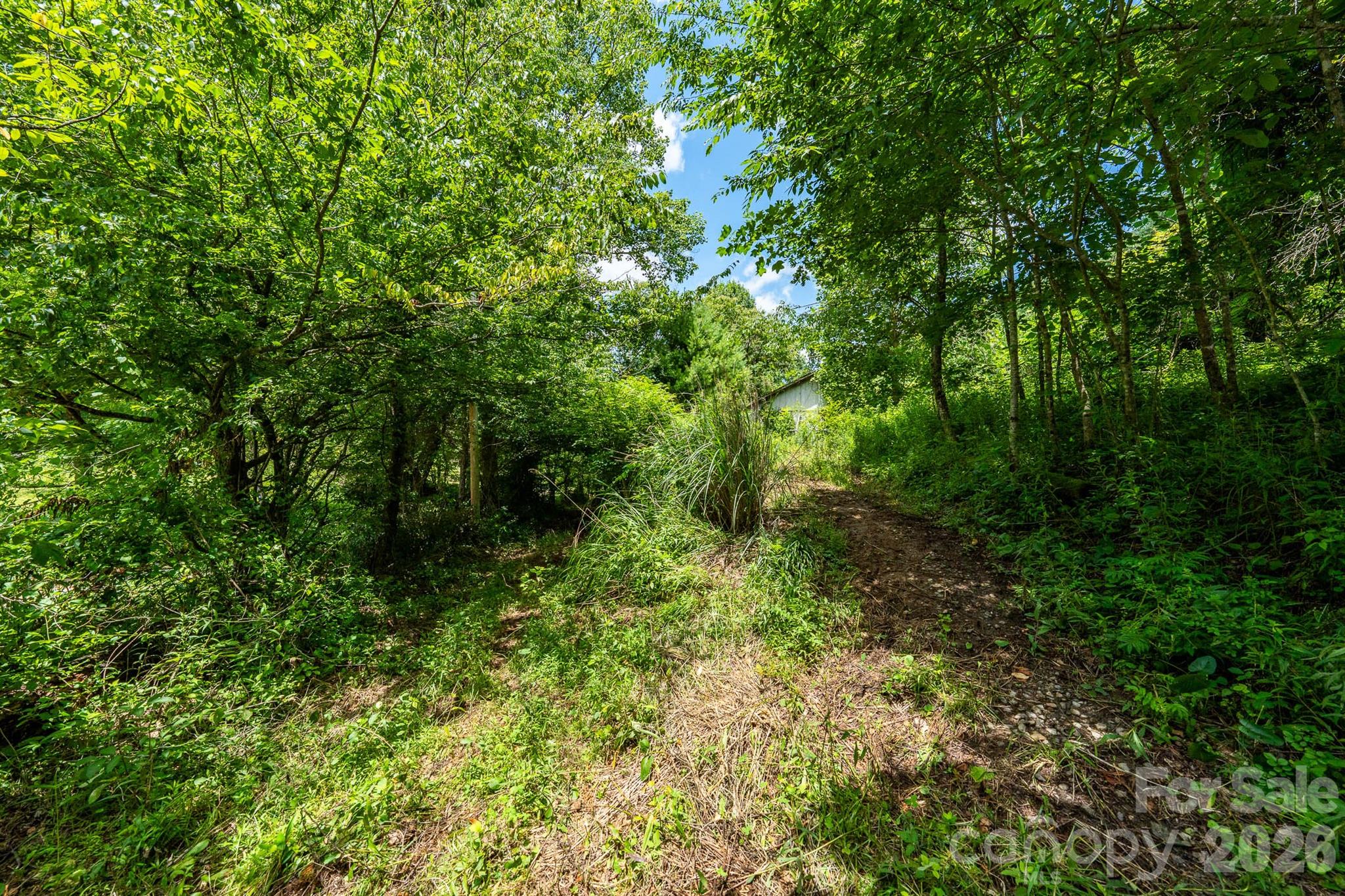 789 Jarrett Cove Road Property Photo 15