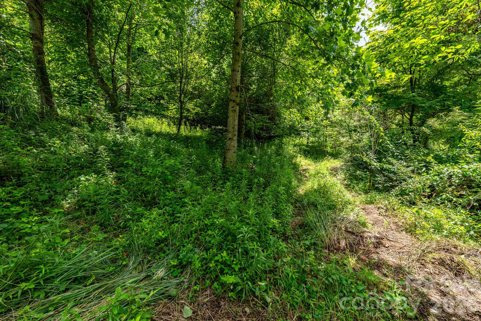 789 Jarrett Cove Road Property Photo 16